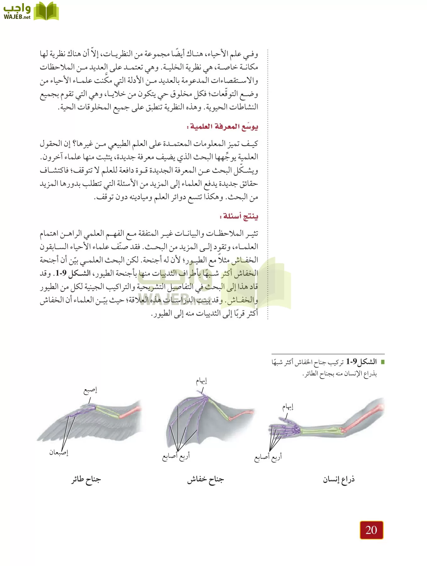أحياء 1 مقررات page-19