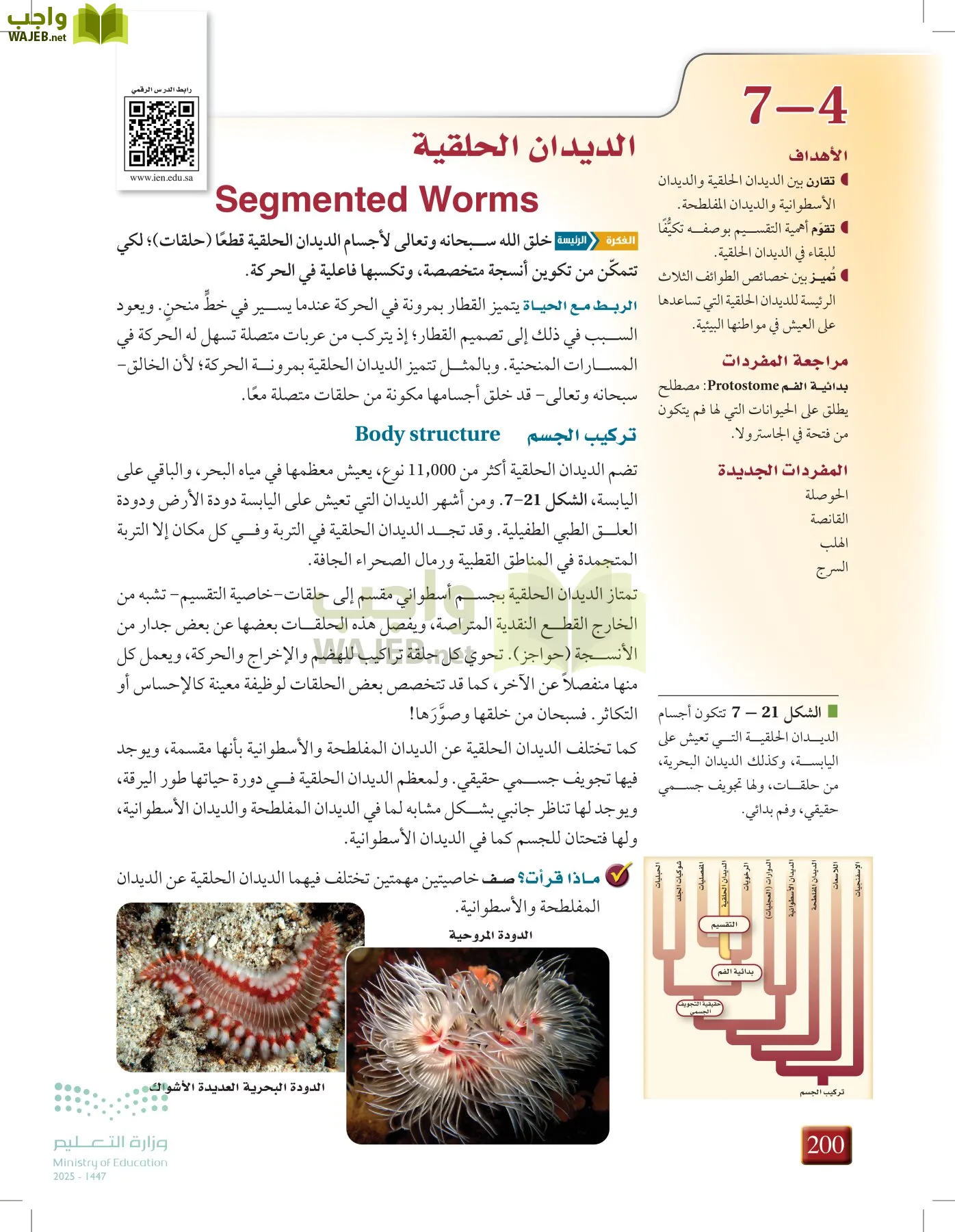 أحياء 1 مقررات page-199