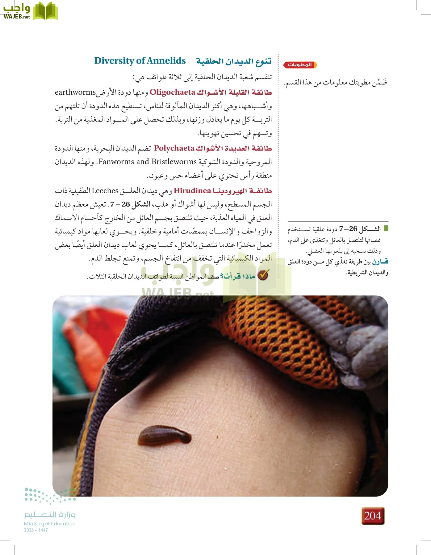 أحياء 1 مقررات page-203