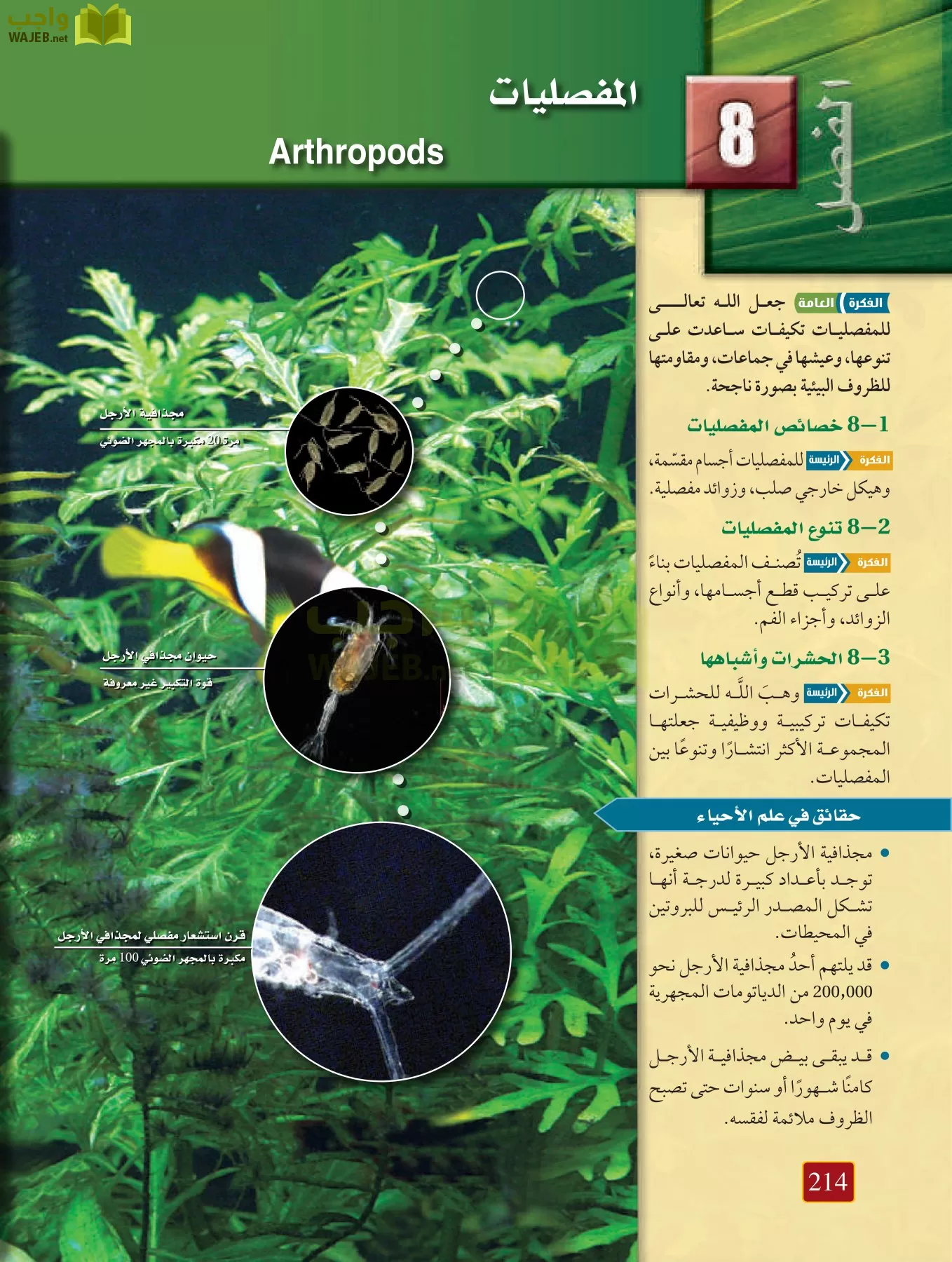 أحياء 1 مقررات page-213