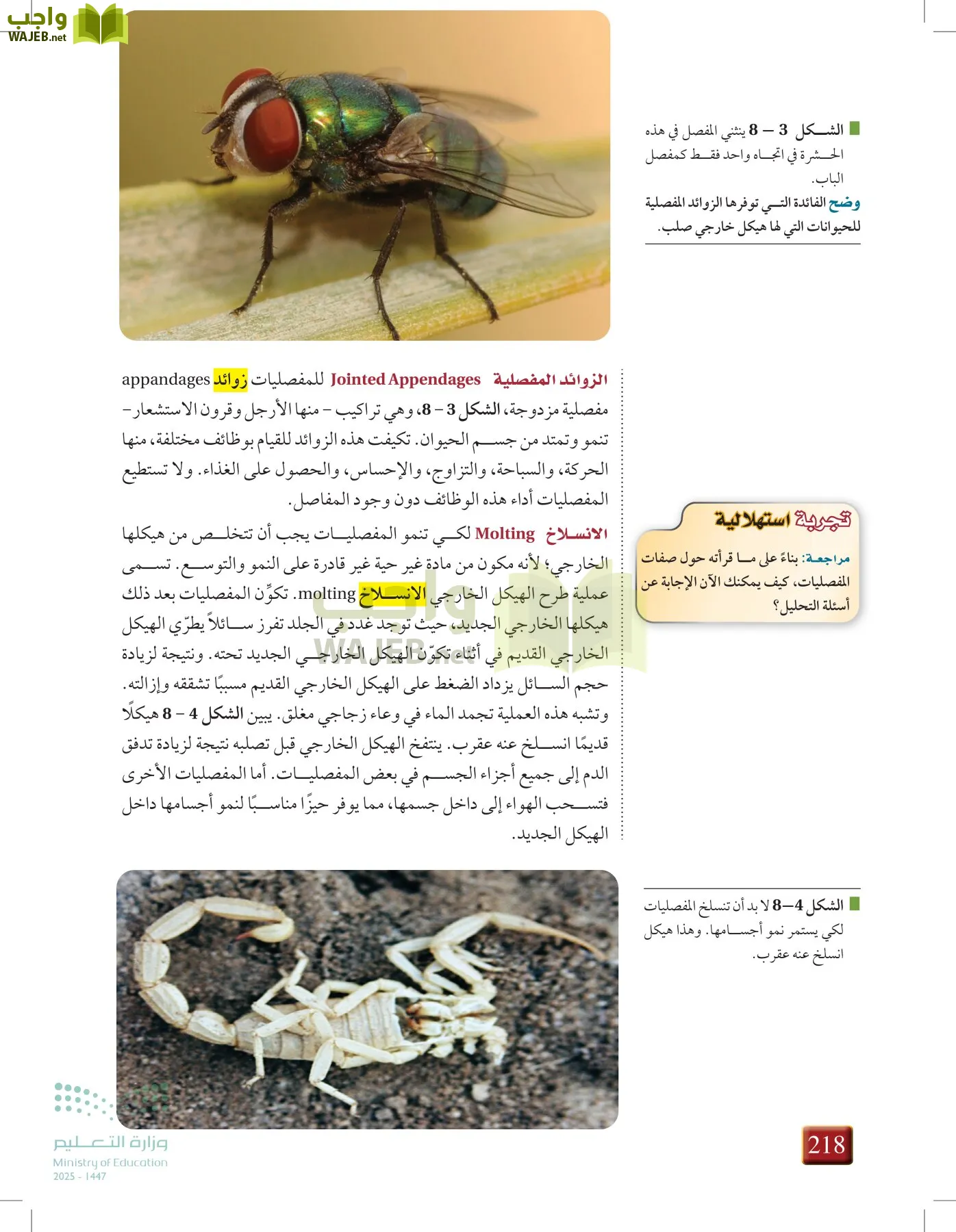 أحياء 1 مقررات page-217