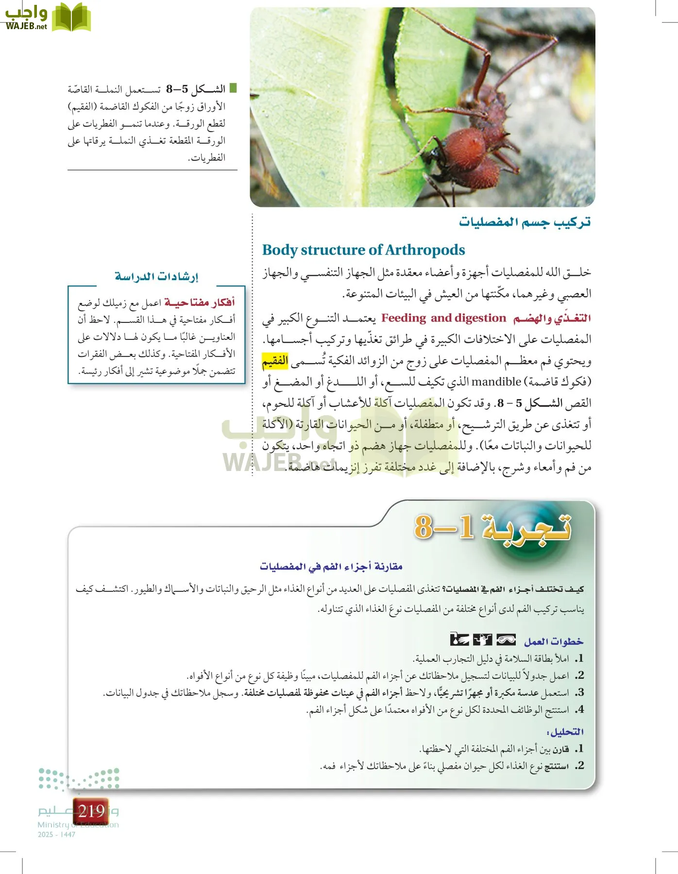 أحياء 1 مقررات page-218
