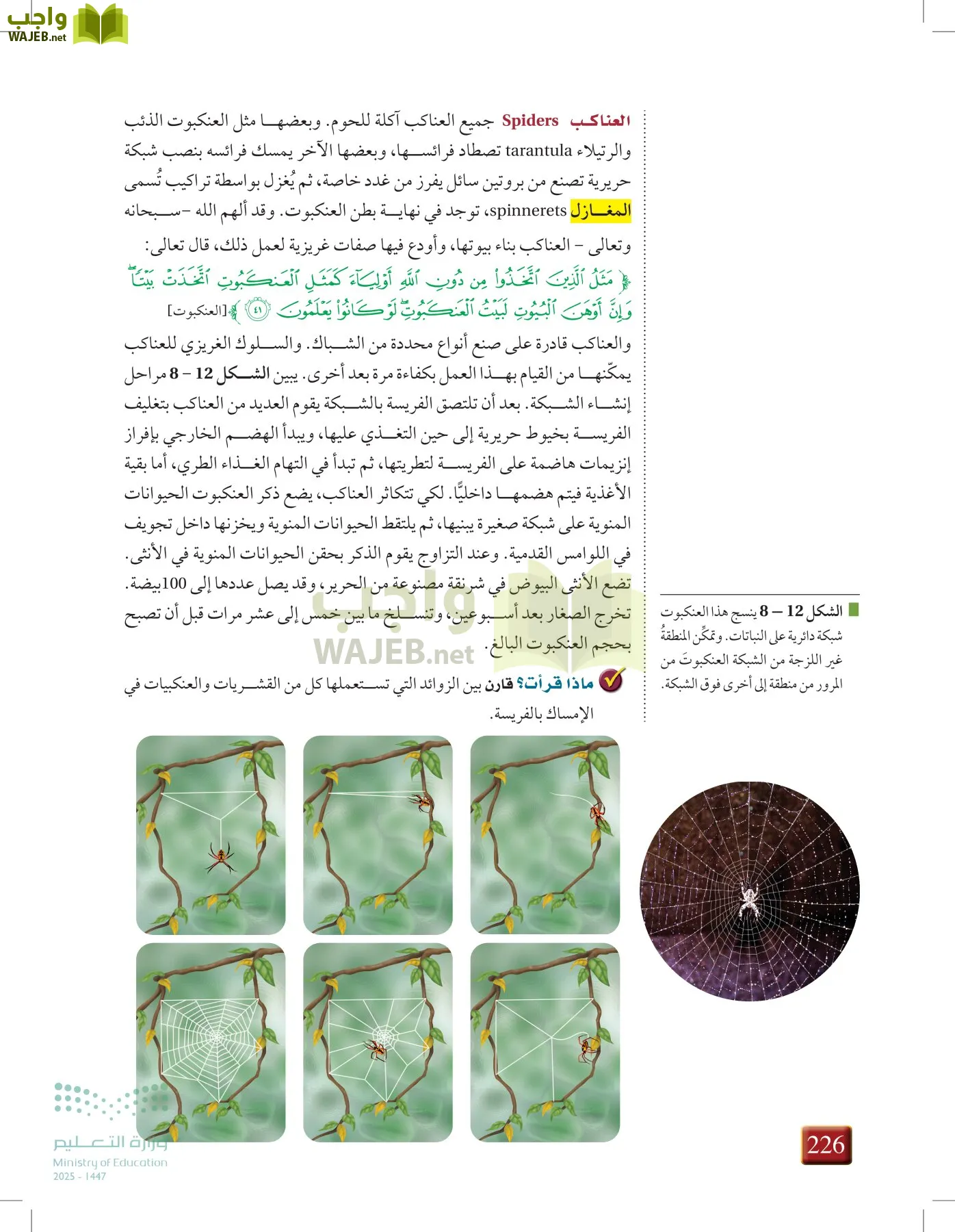 أحياء 1 مقررات page-225