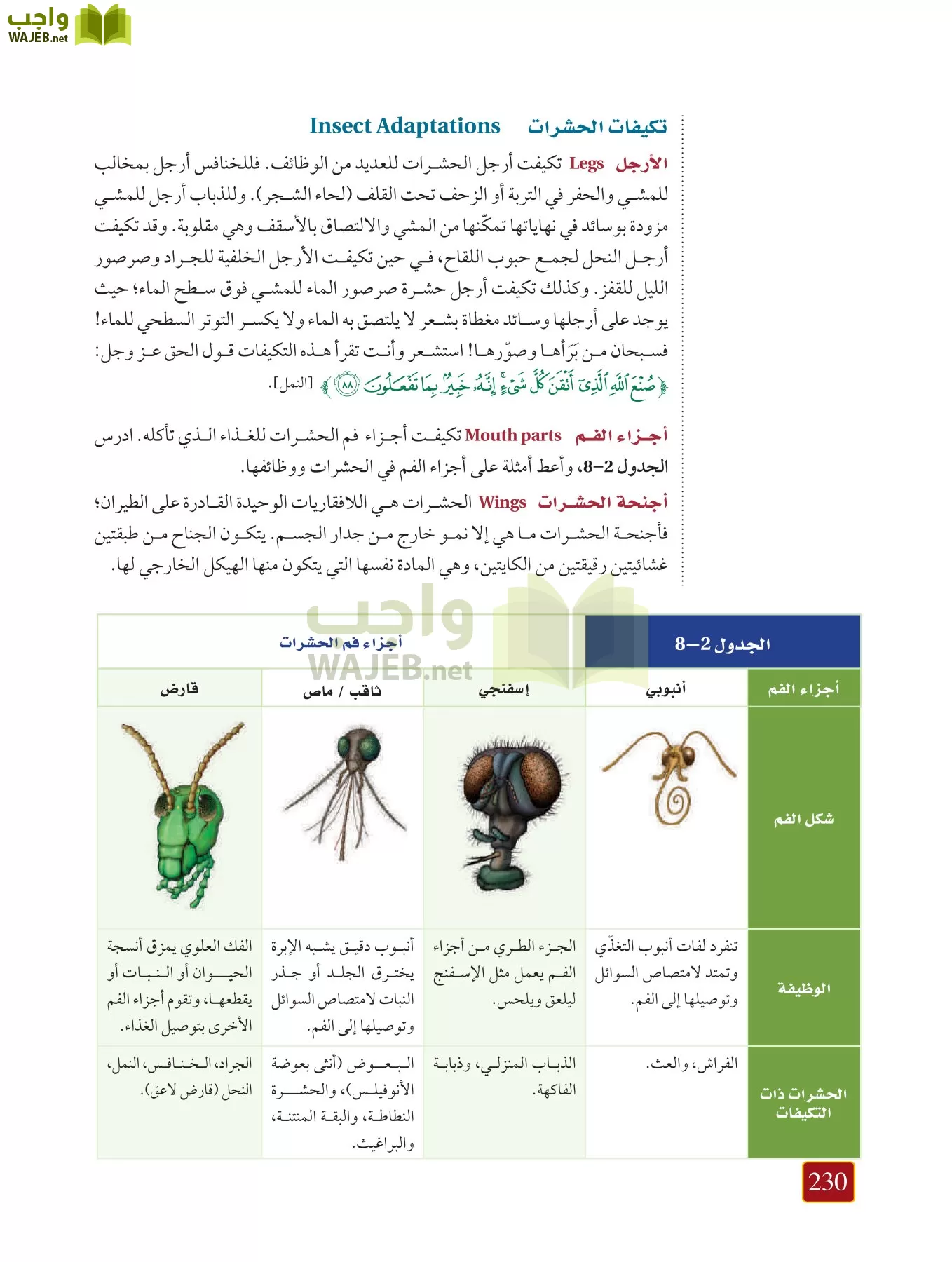 أحياء 1 مقررات page-229