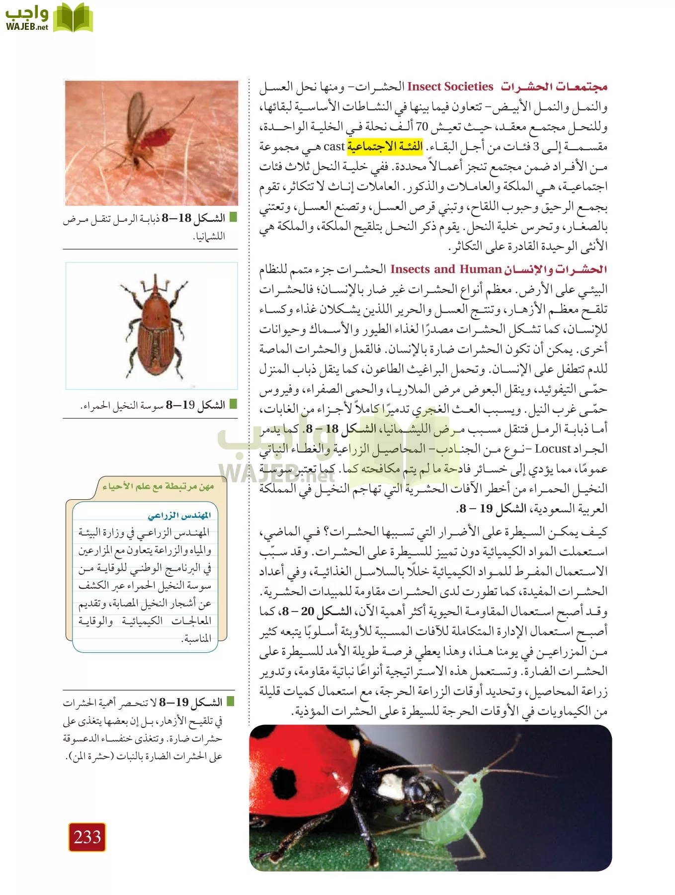 أحياء 1 مقررات page-232