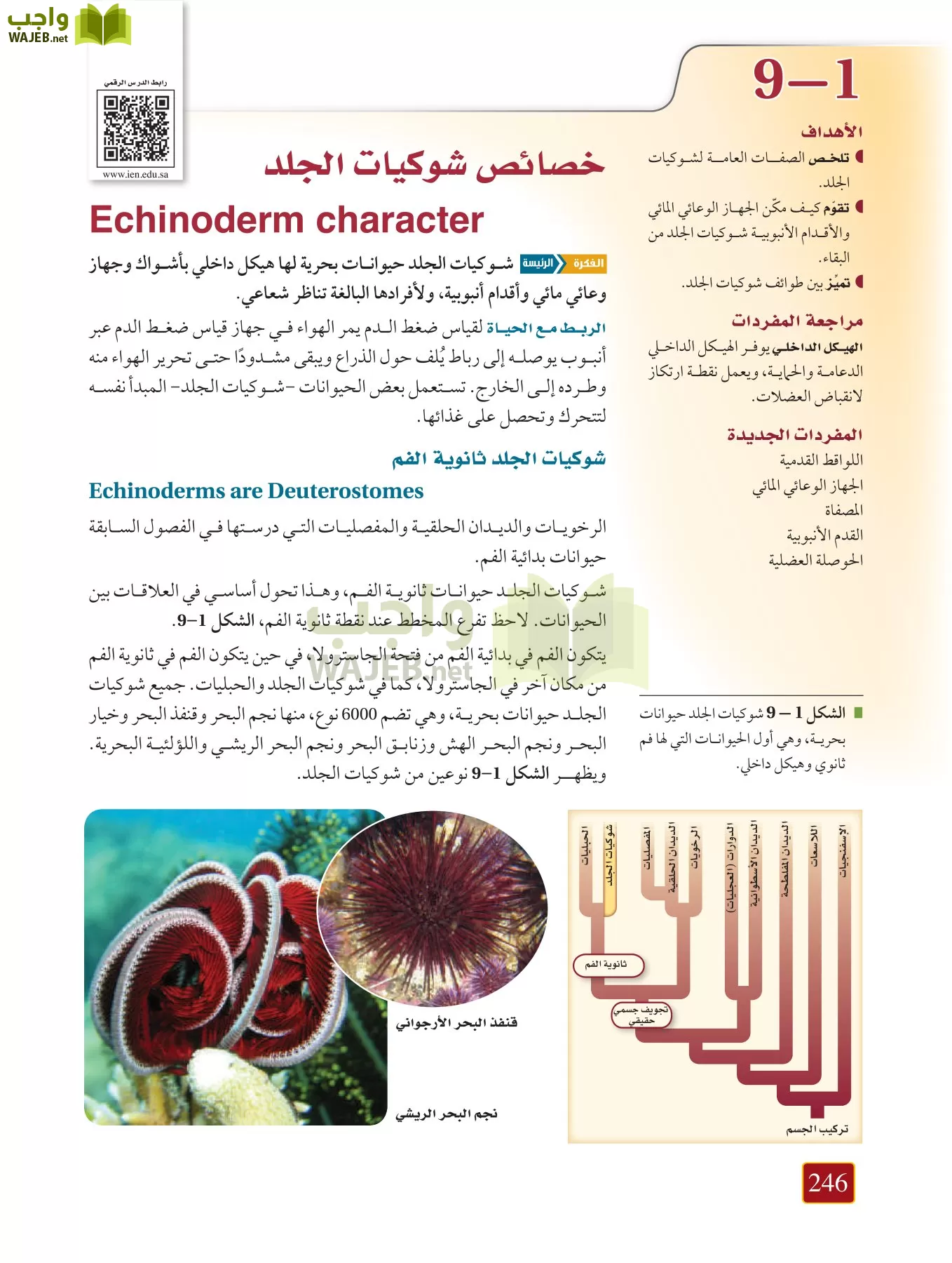 أحياء 1 مقررات page-245