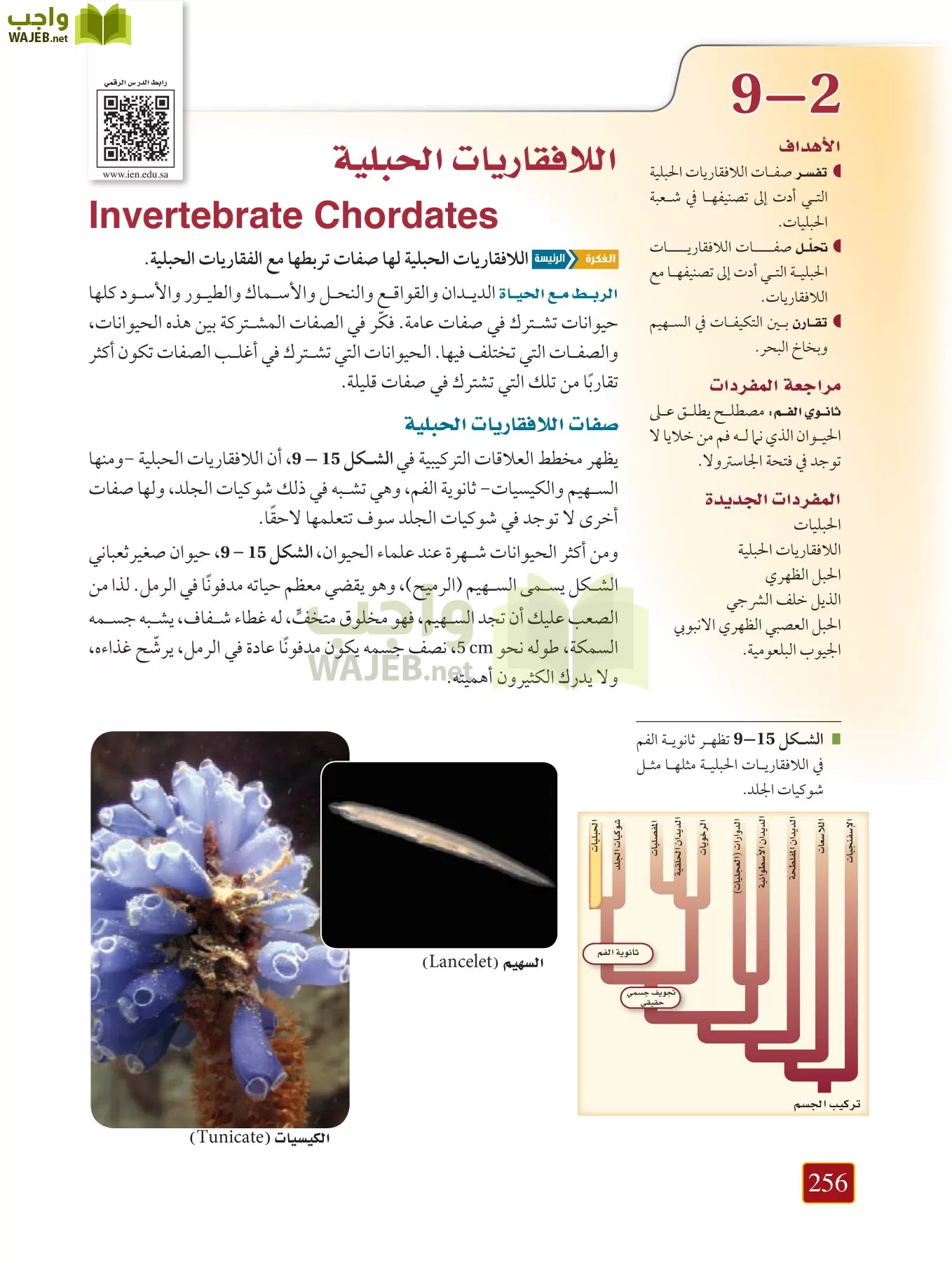 أحياء 1 مقررات page-255