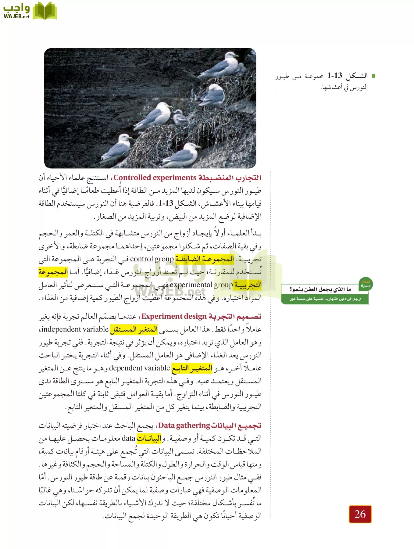 أحياء 1 مقررات page-25