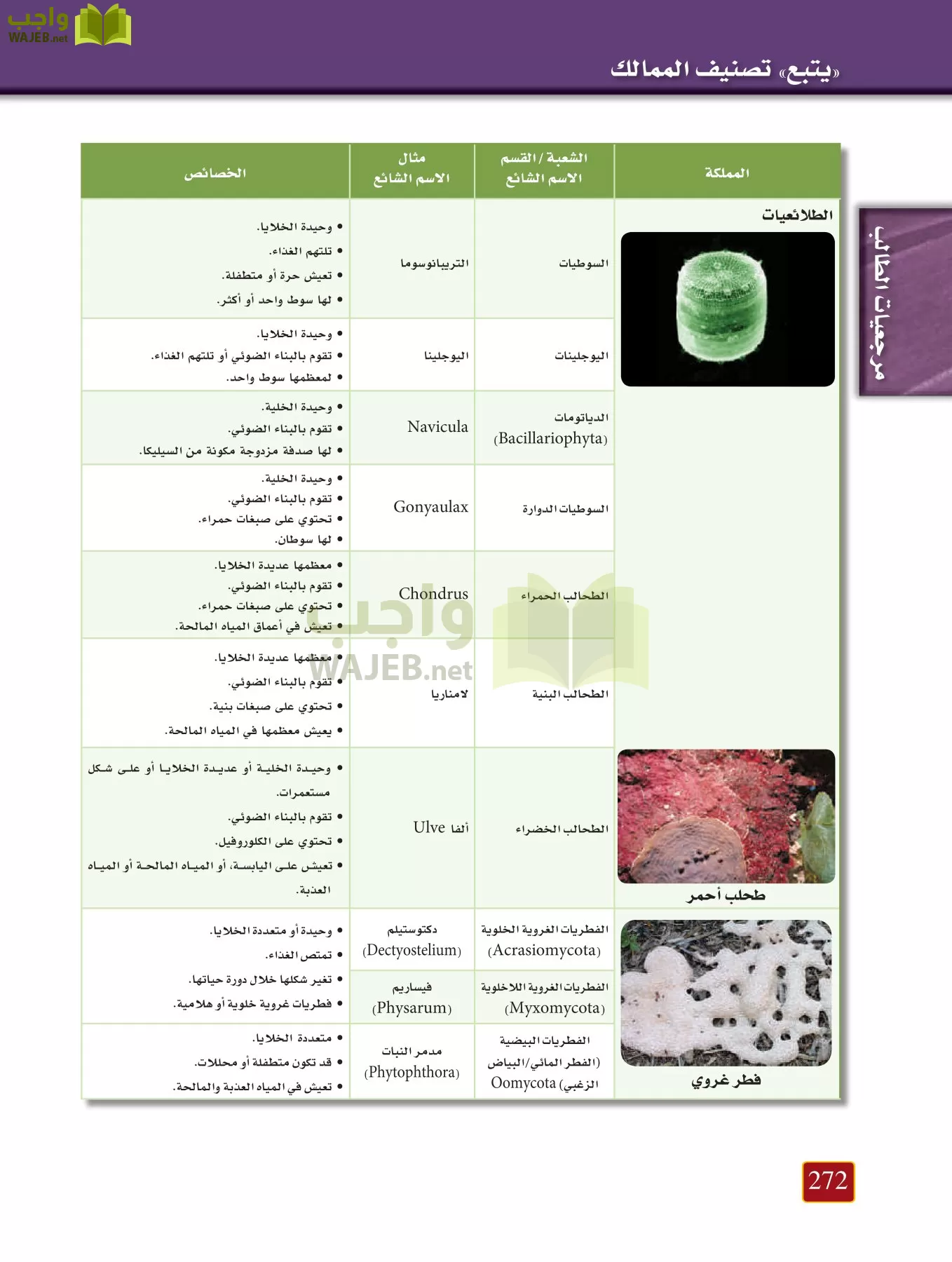 أحياء 1 مقررات page-271