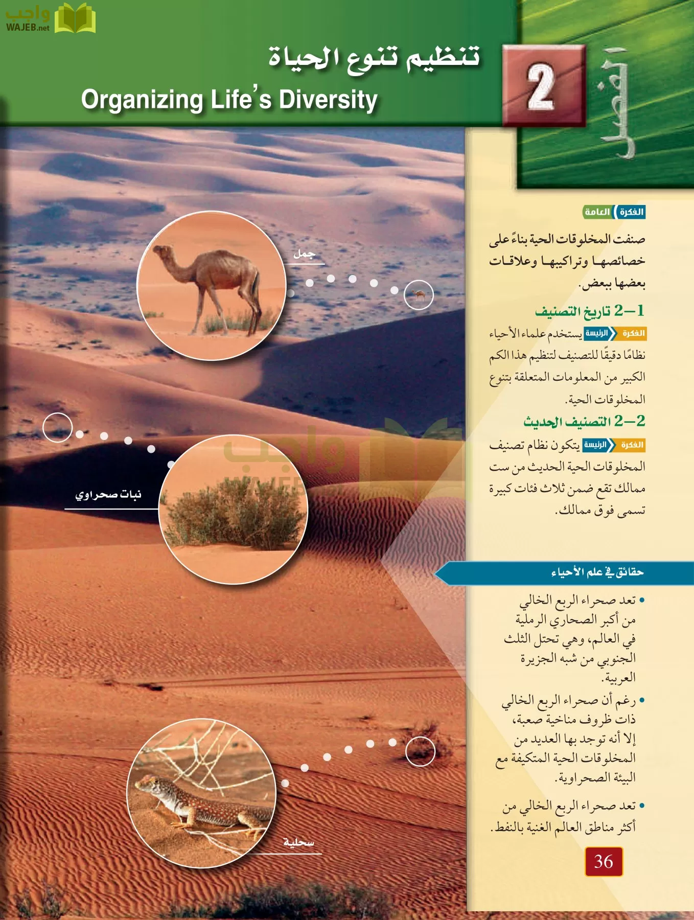 أحياء 1 مقررات page-35