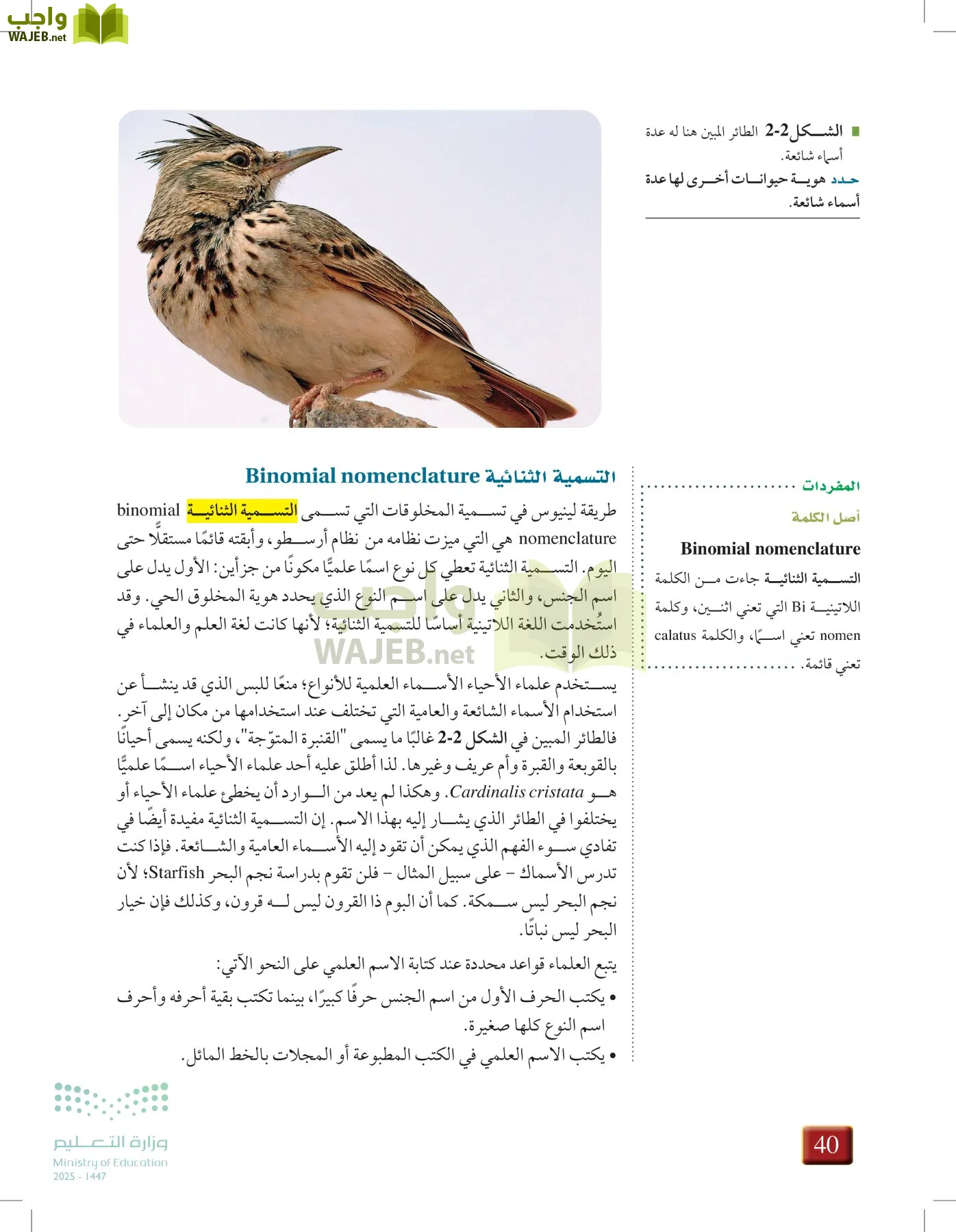 أحياء 1 مقررات page-39