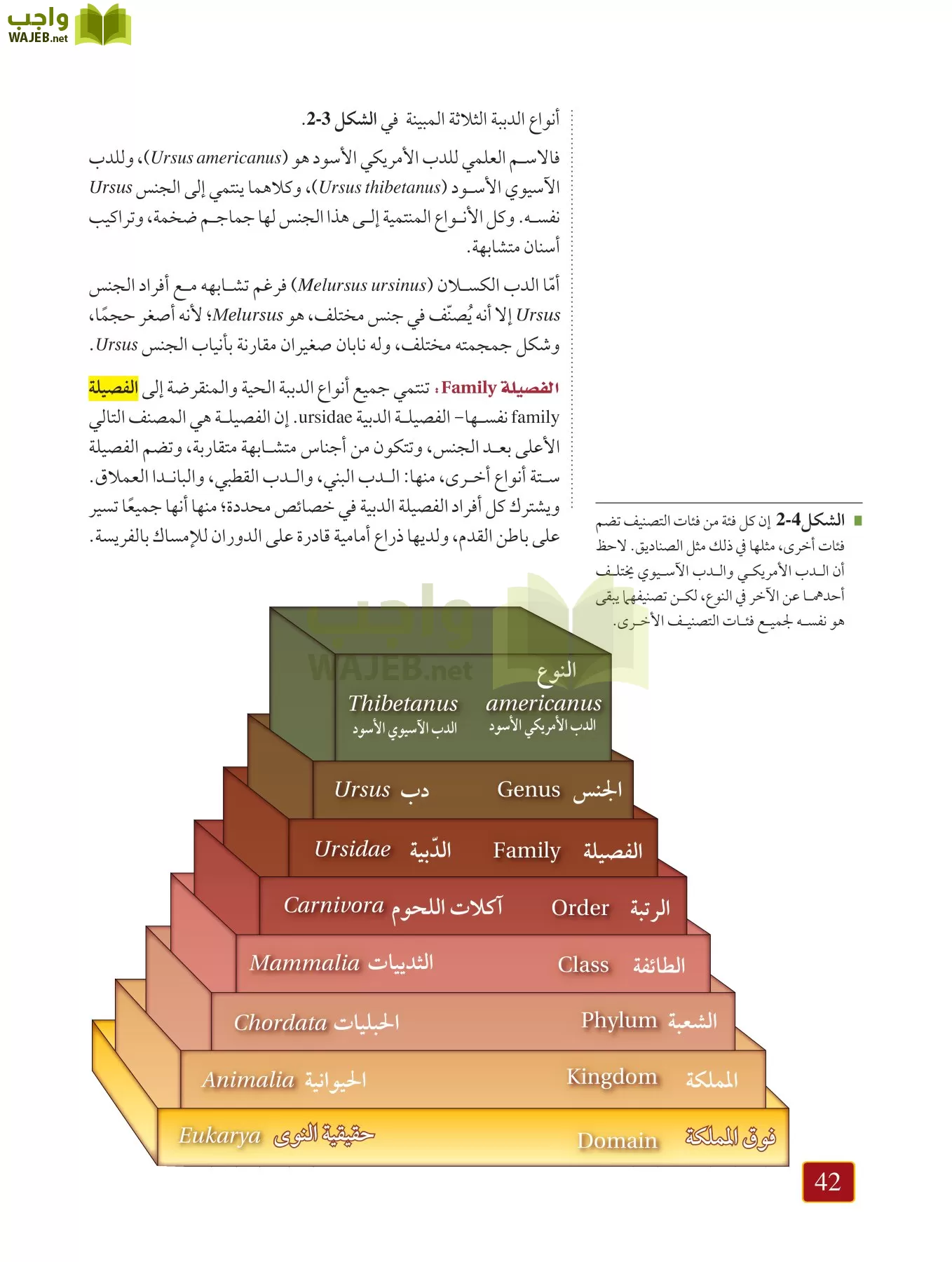أحياء 1 مقررات page-41
