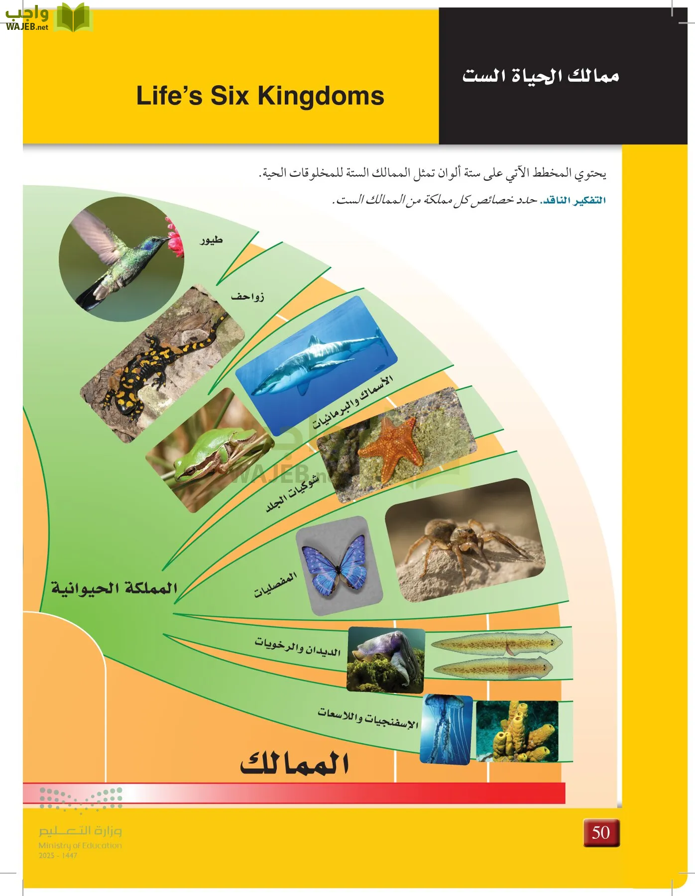 أحياء 1 مقررات page-49