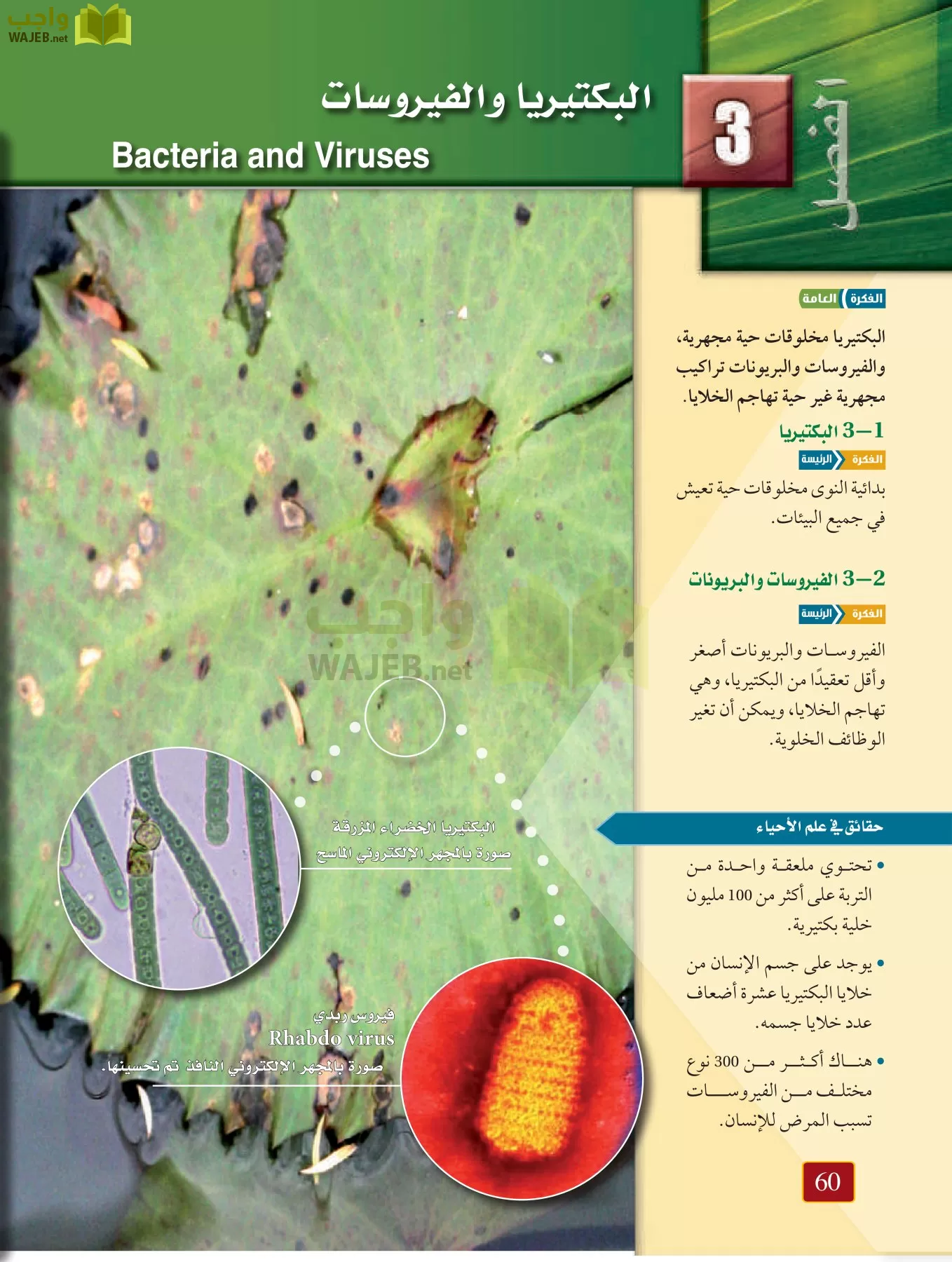 أحياء 1 مقررات page-59