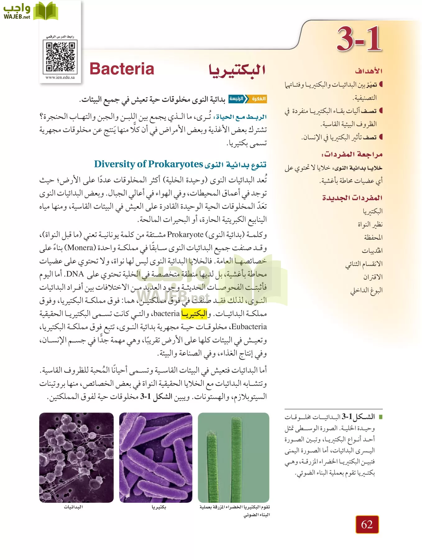 أحياء 1 مقررات page-61