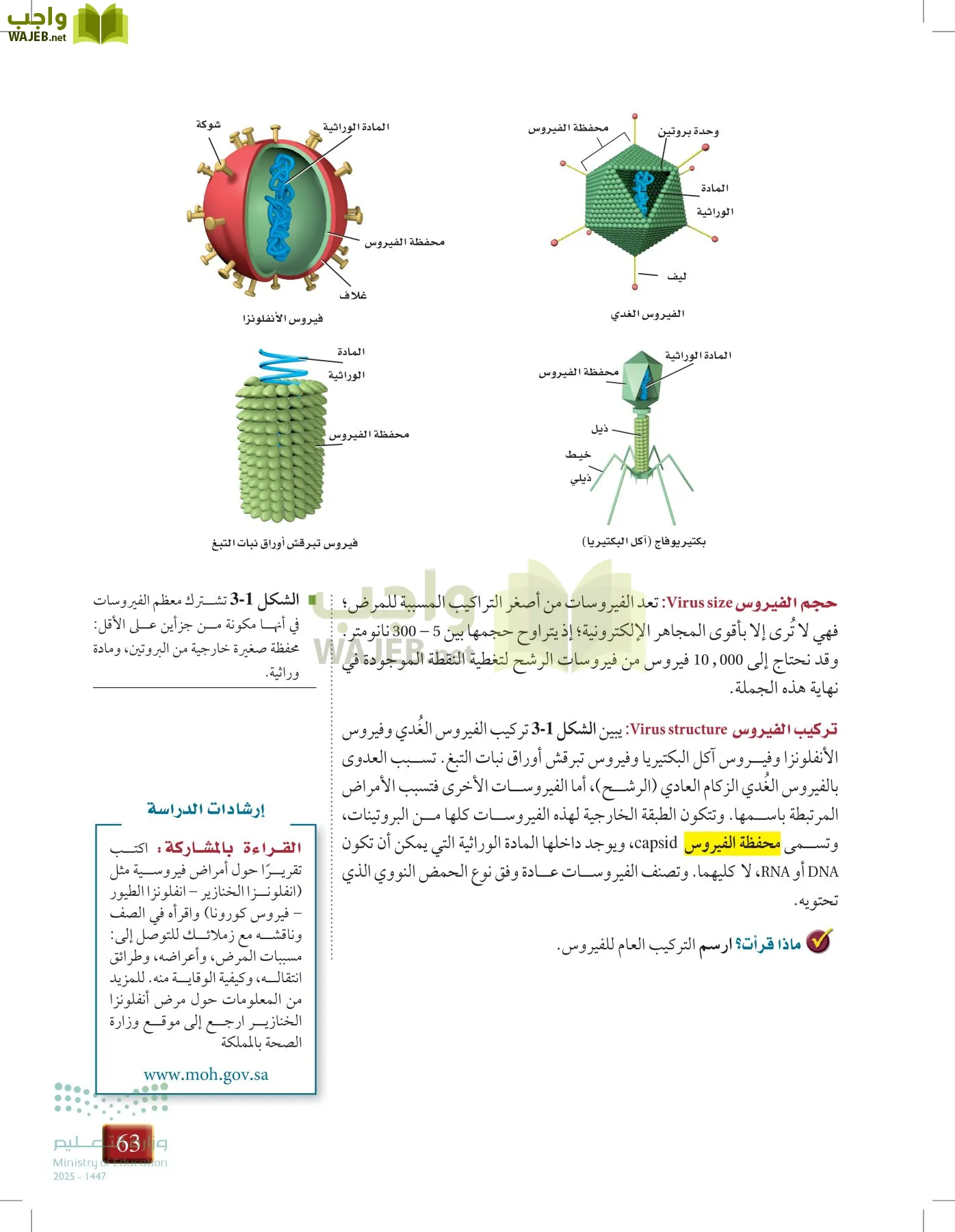 أحياء 1 مقررات page-62