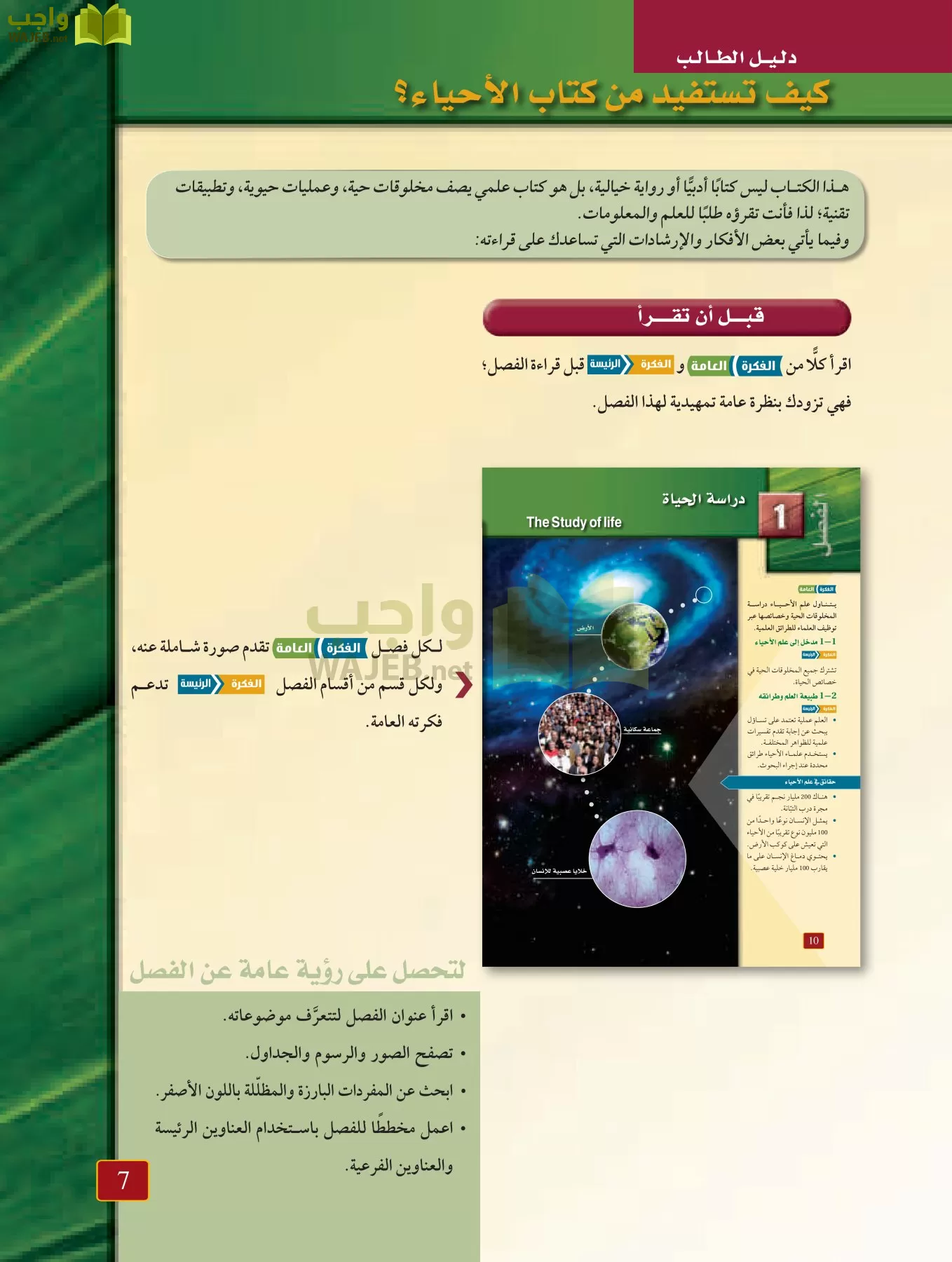 أحياء 1 مقررات page-6