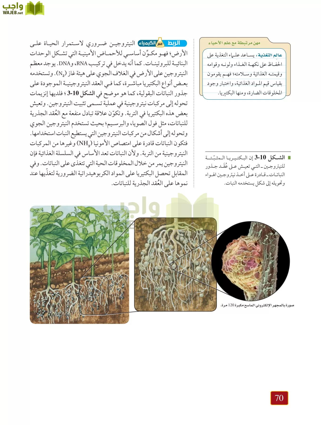 أحياء 1 مقررات page-69