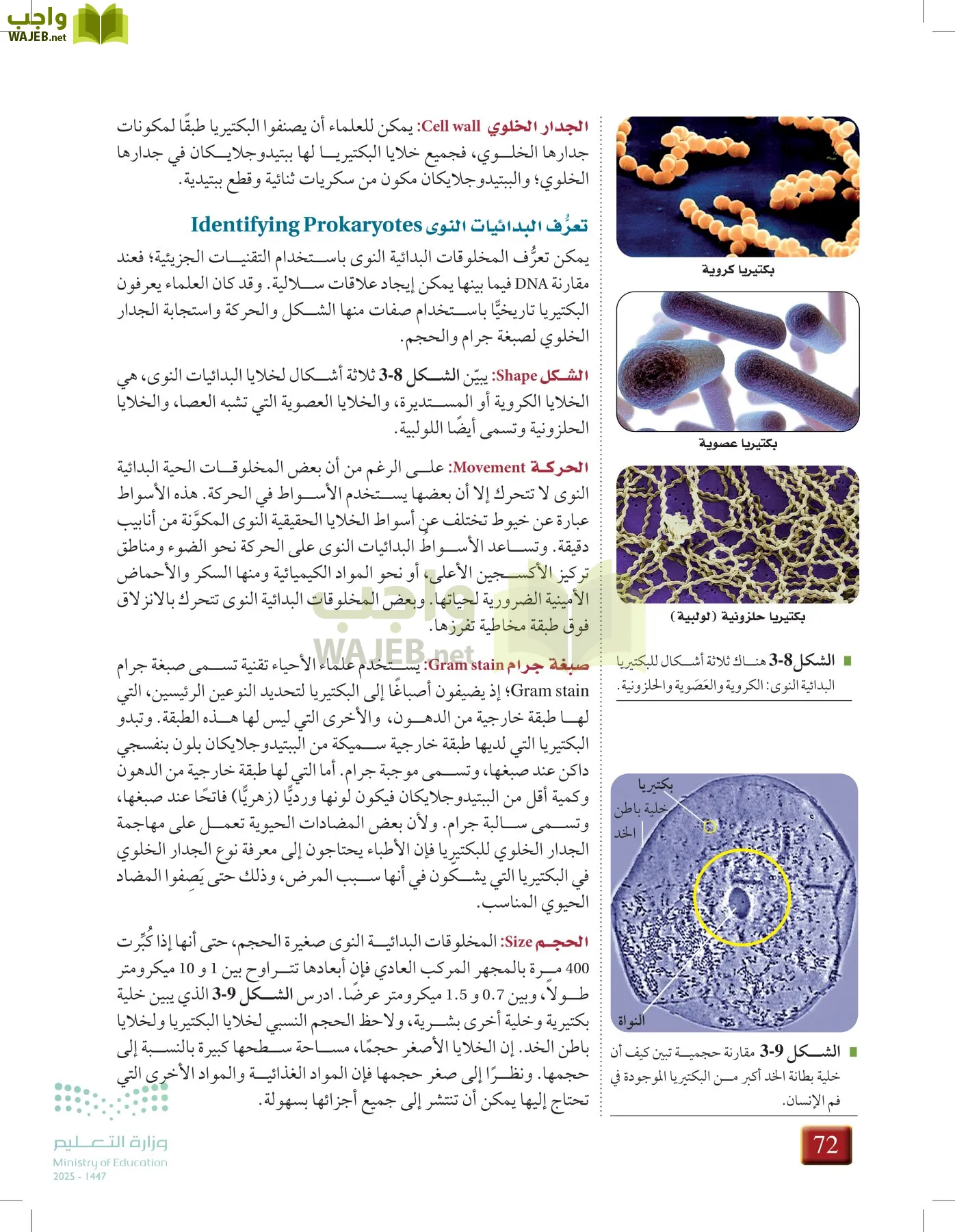 أحياء 1 مقررات page-71