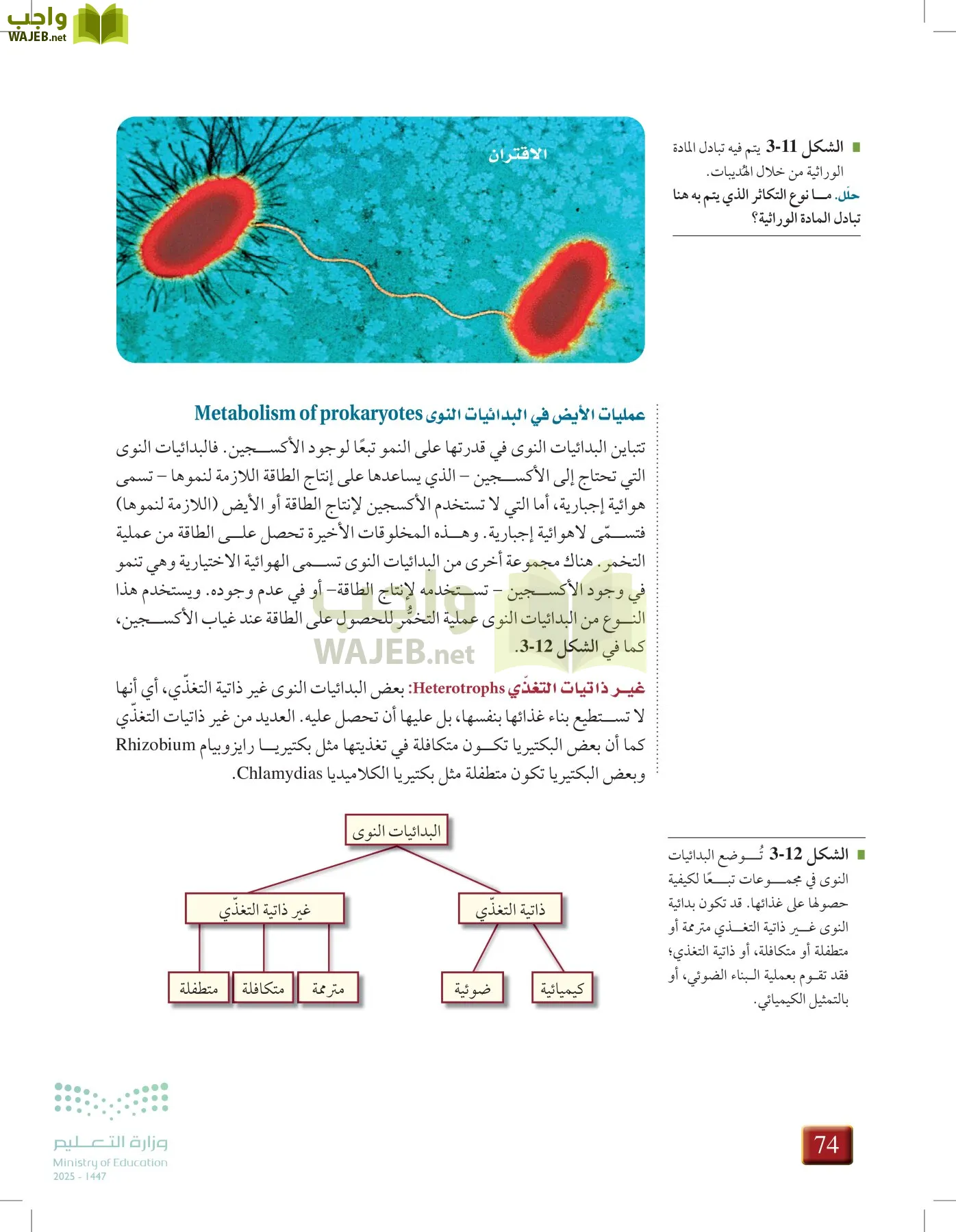 أحياء 1 مقررات page-73