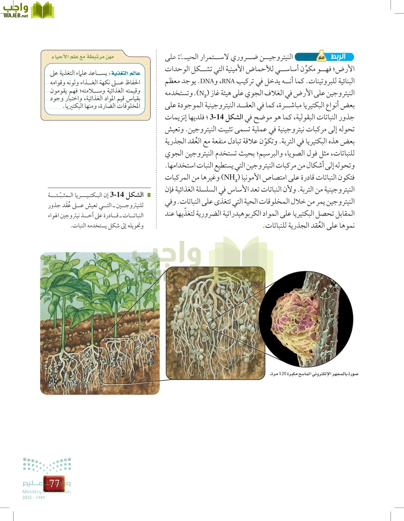 أحياء 1 مقررات page-76