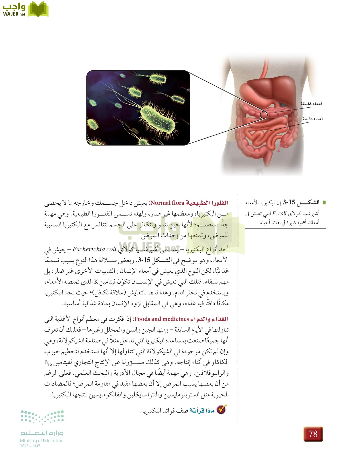 أحياء 1 مقررات page-77