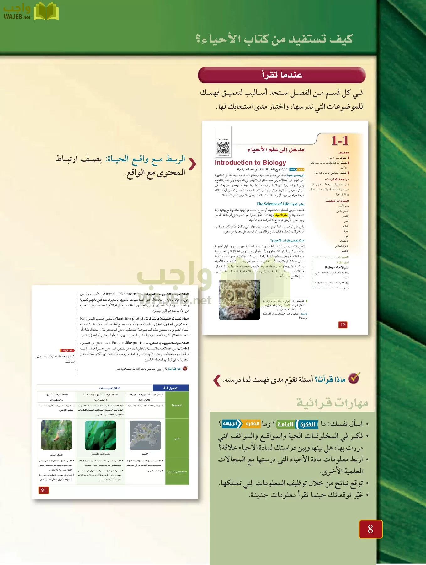 أحياء 1 مقررات page-7