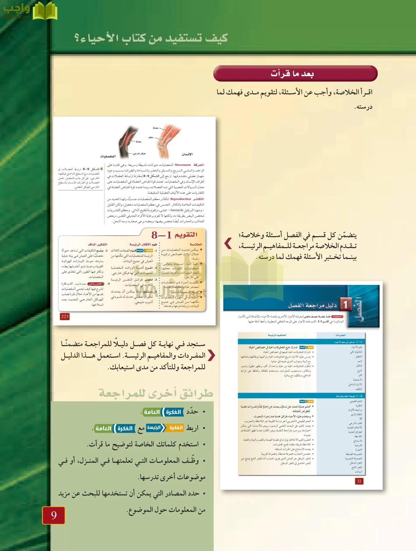 أحياء 1 مقررات page-8