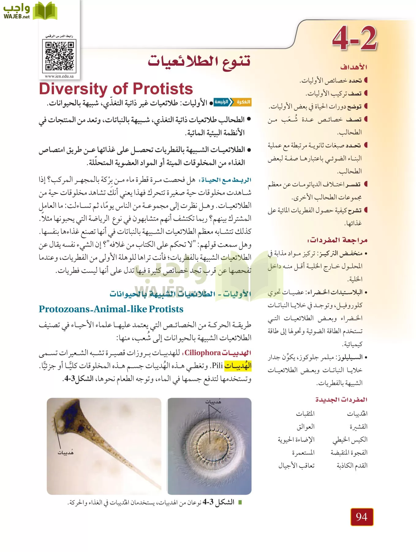 أحياء 1 مقررات page-93