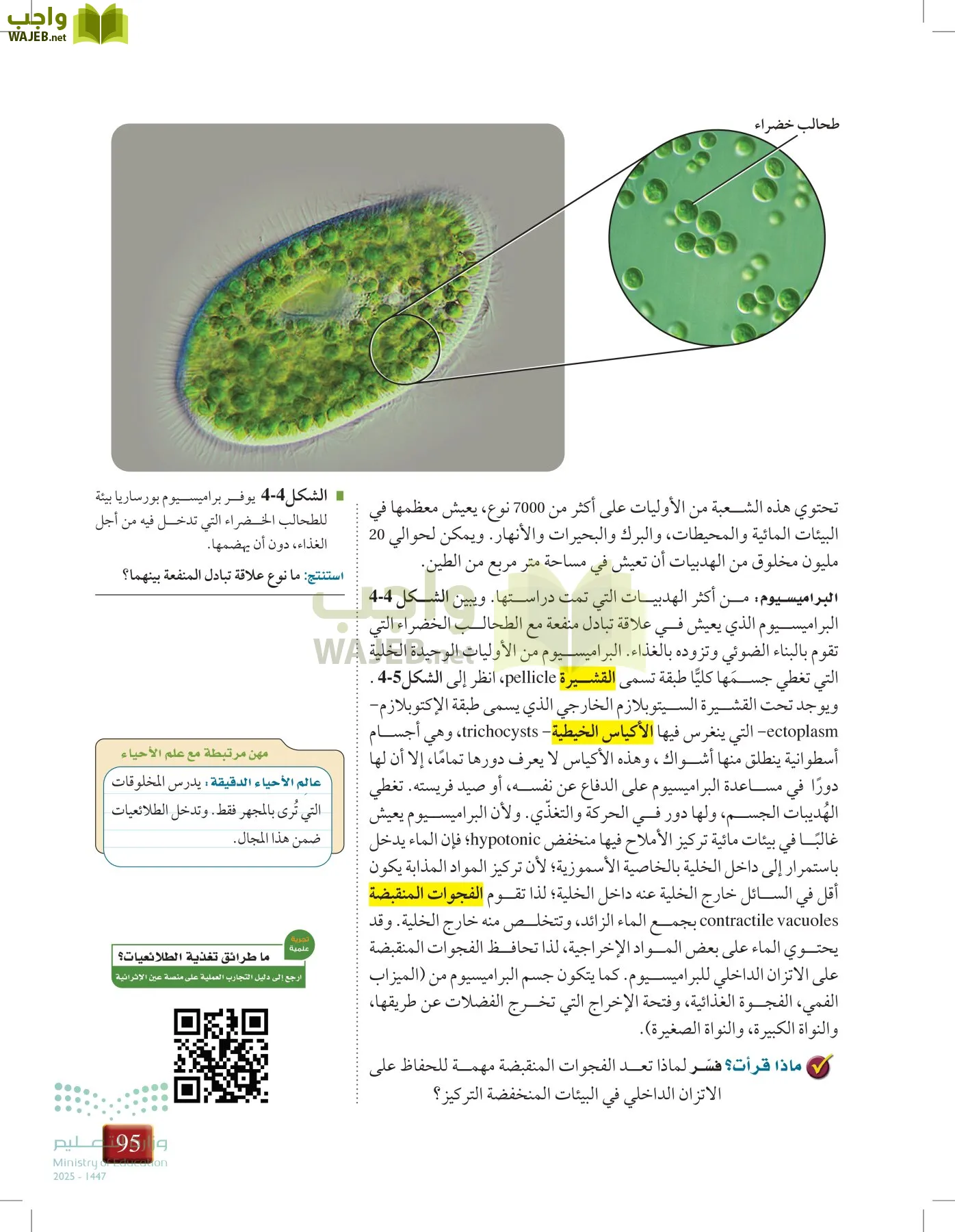 أحياء 1 مقررات page-94