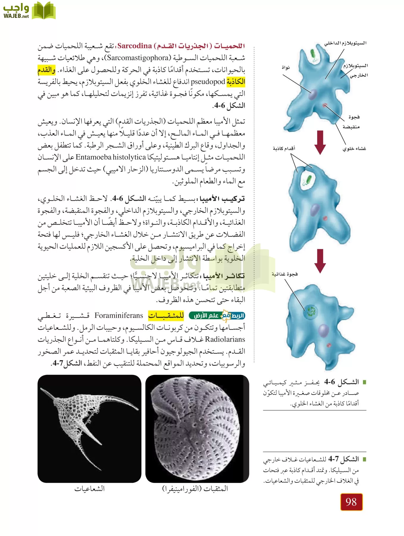 أحياء 1 مقررات page-97
