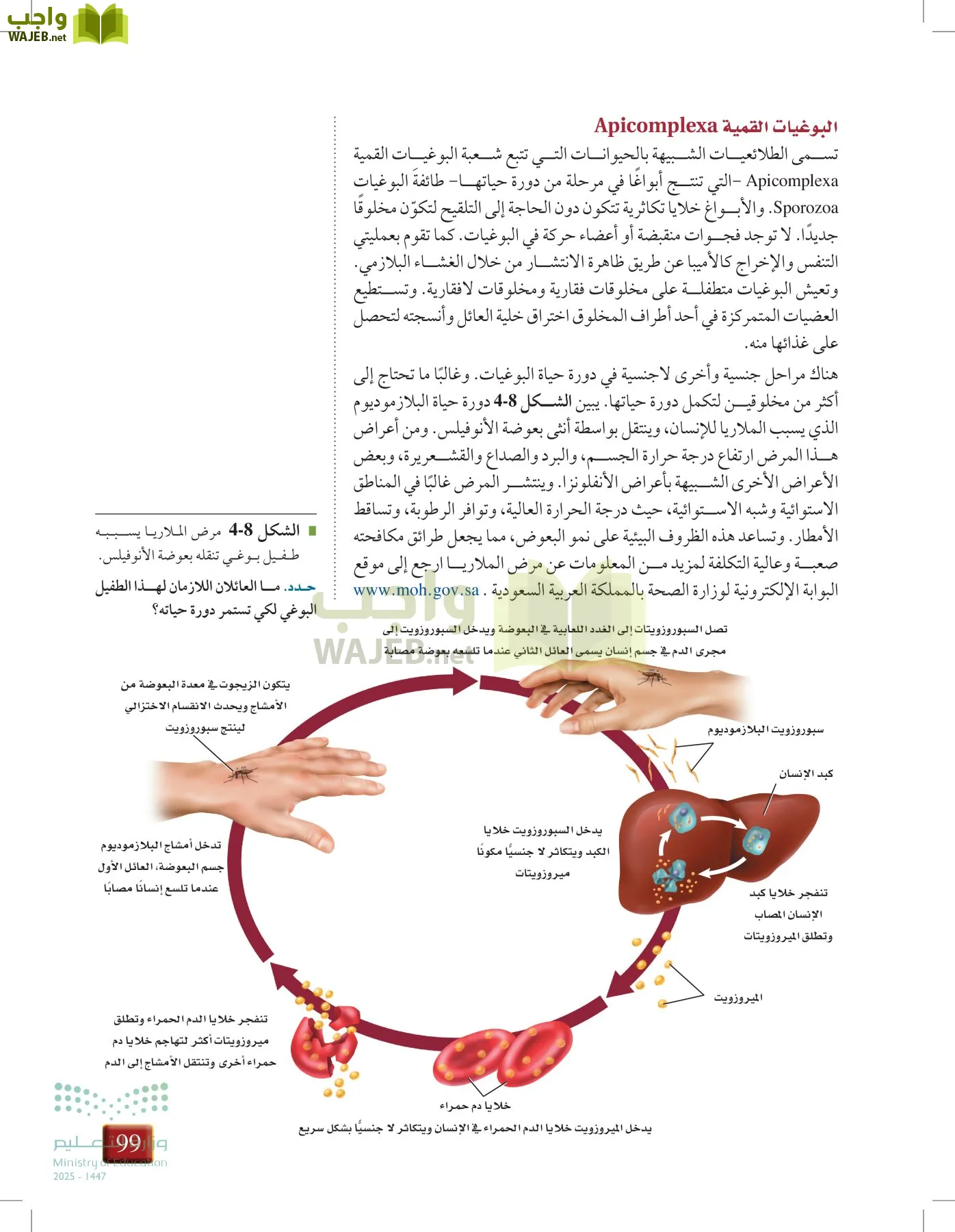 أحياء 1 مقررات page-98