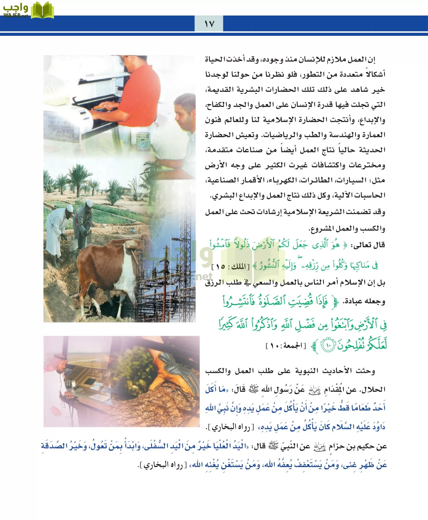 التربية المهنية مقررات page-17