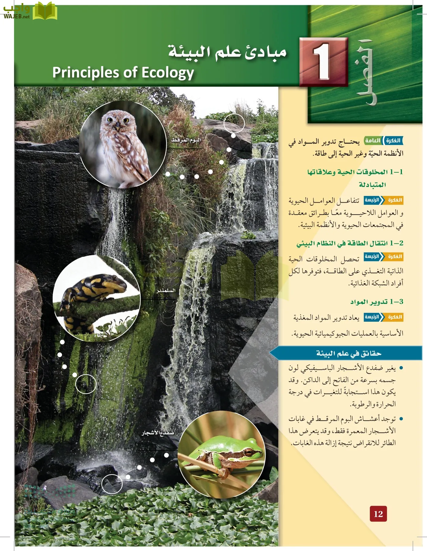 علم البيئة مقررات page-11