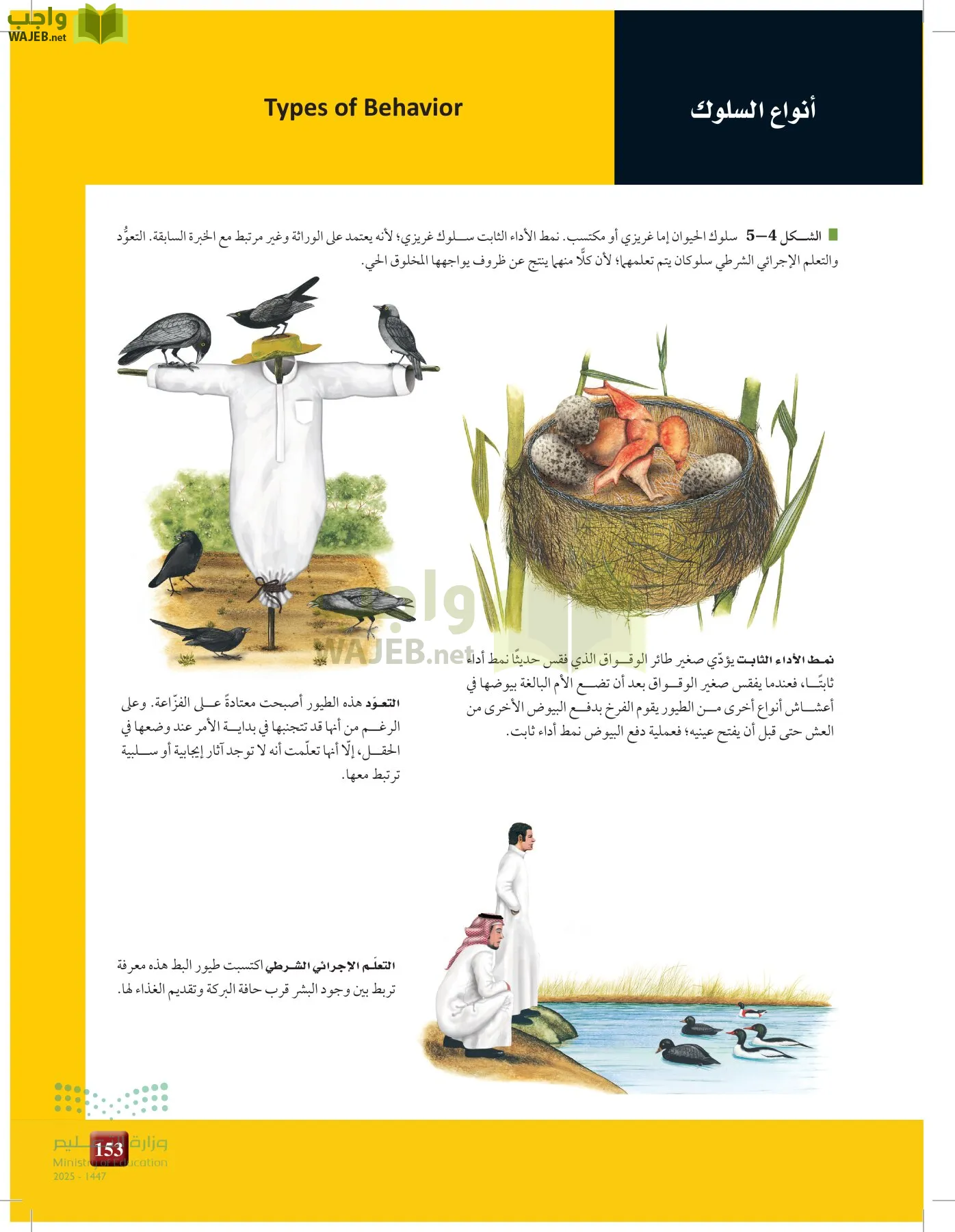 علم البيئة مقررات page-152