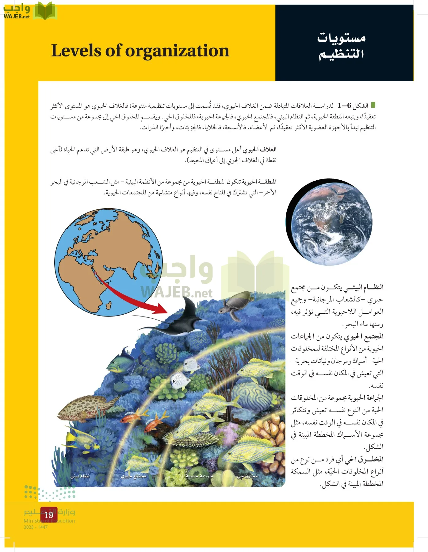 علم البيئة مقررات page-18