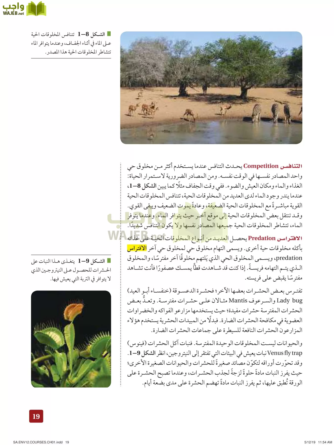 علم البيئة مقررات page-19