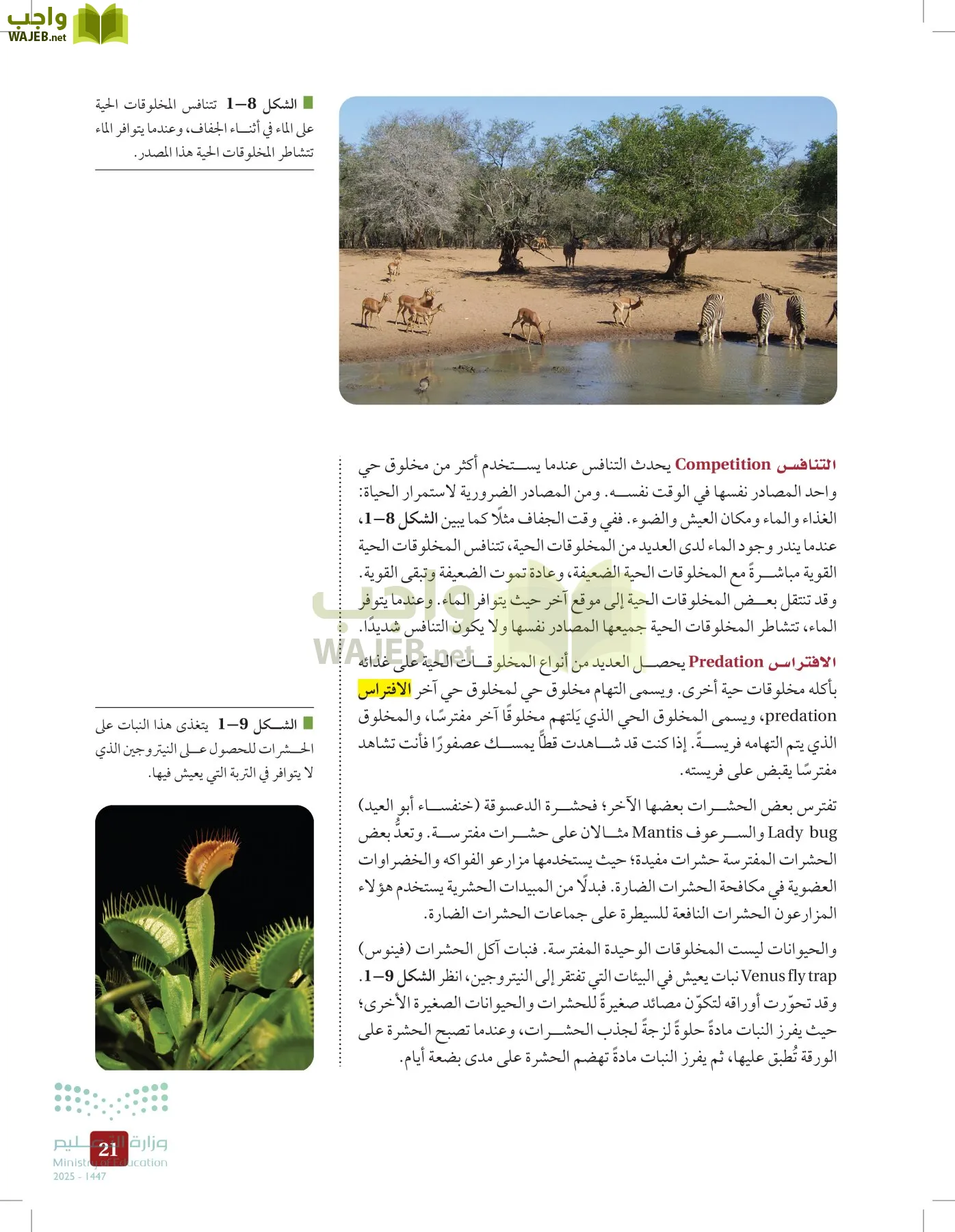 علم البيئة مقررات page-20