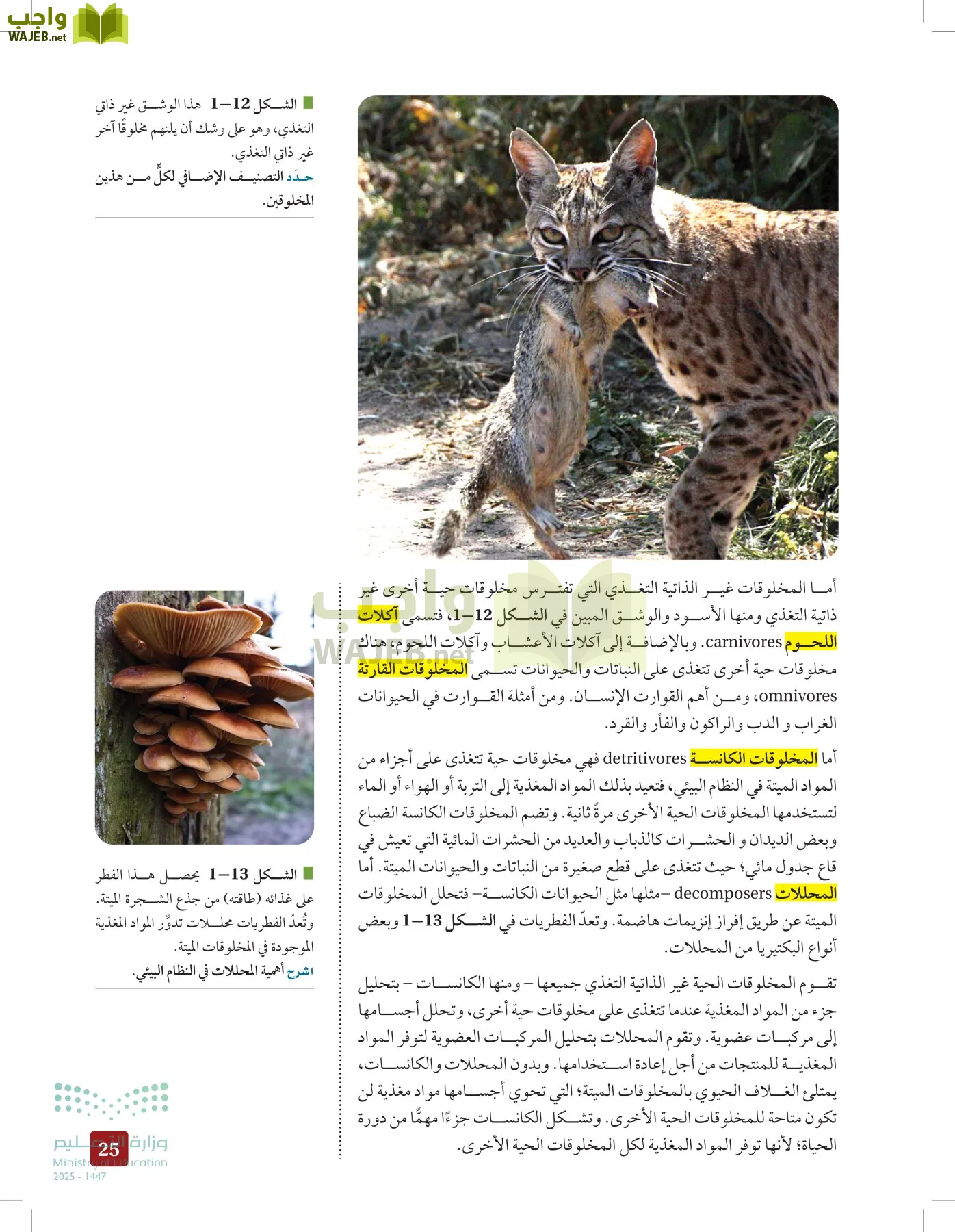 علم البيئة مقررات page-24