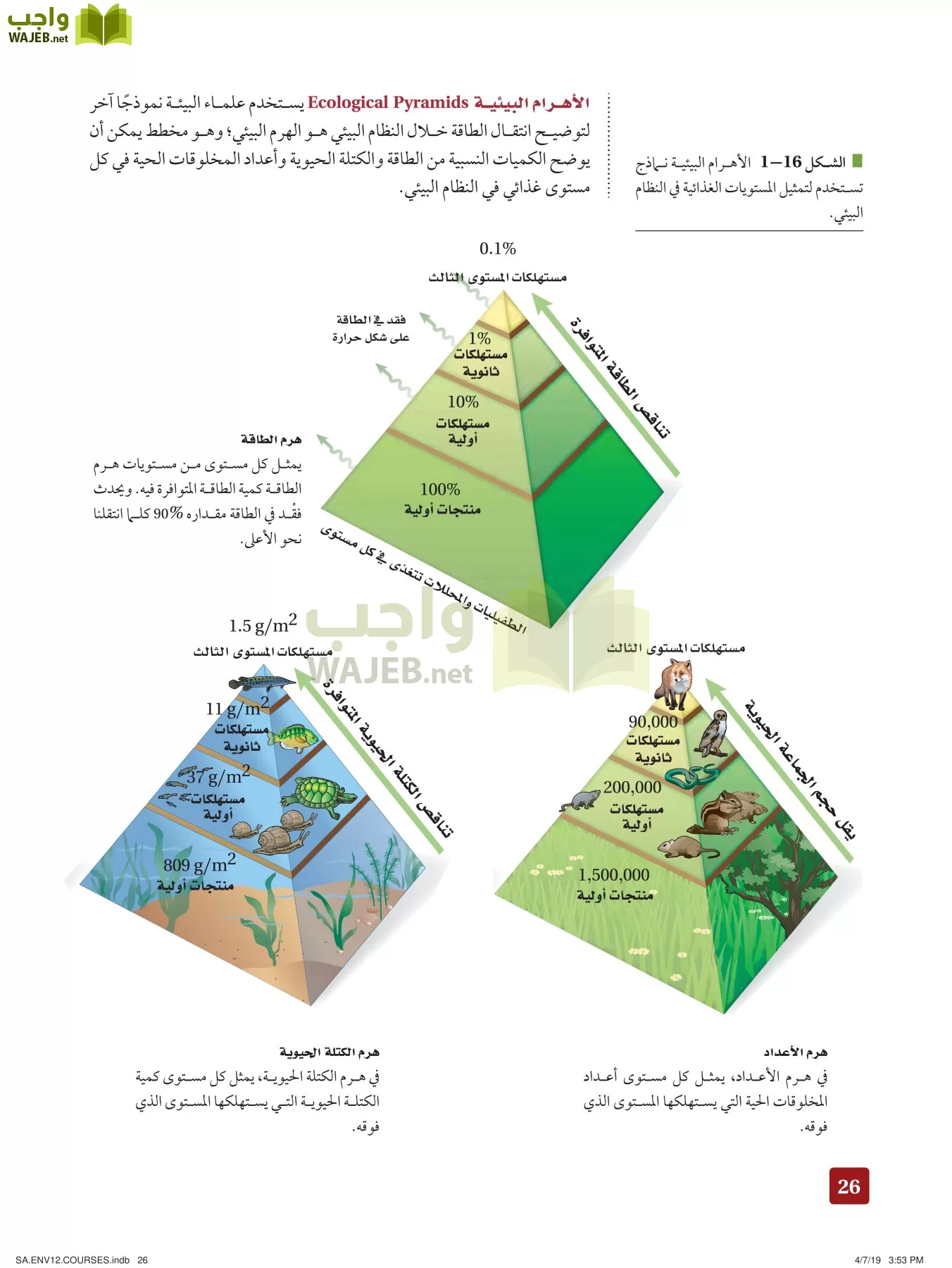 علم البيئة مقررات page-26