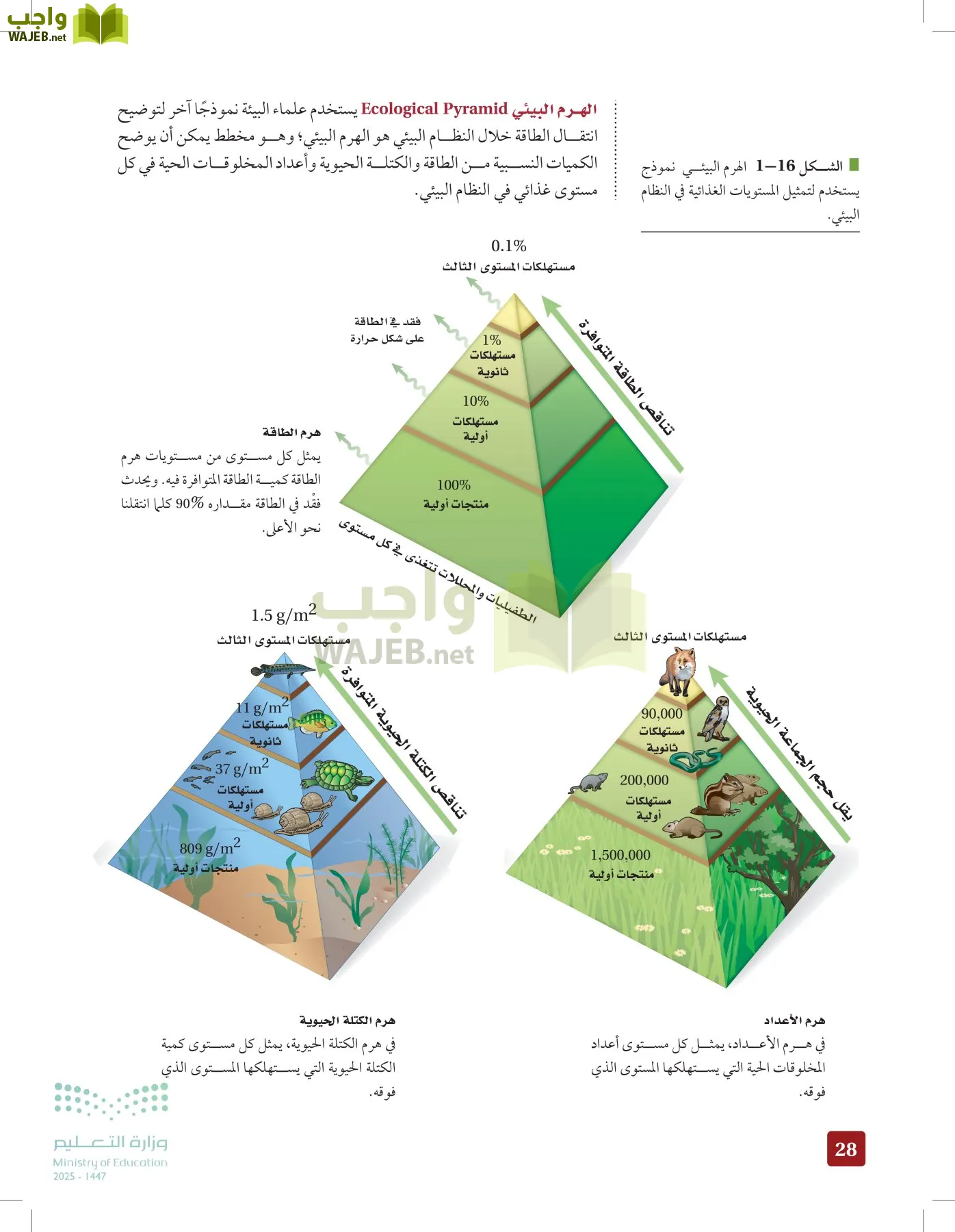 علم البيئة مقررات page-27