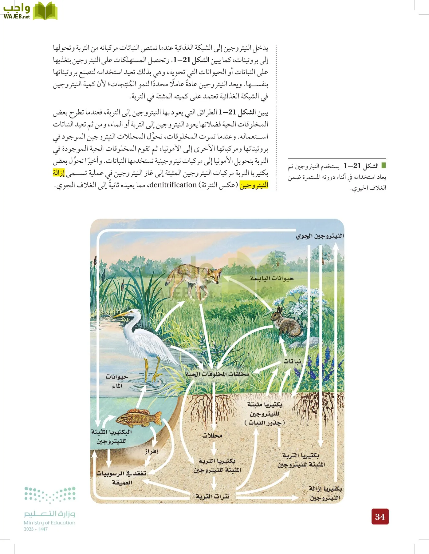 علم البيئة مقررات page-33