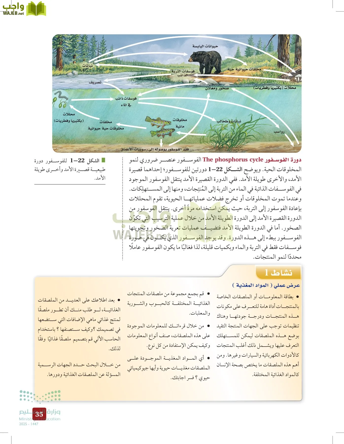 علم البيئة مقررات page-34