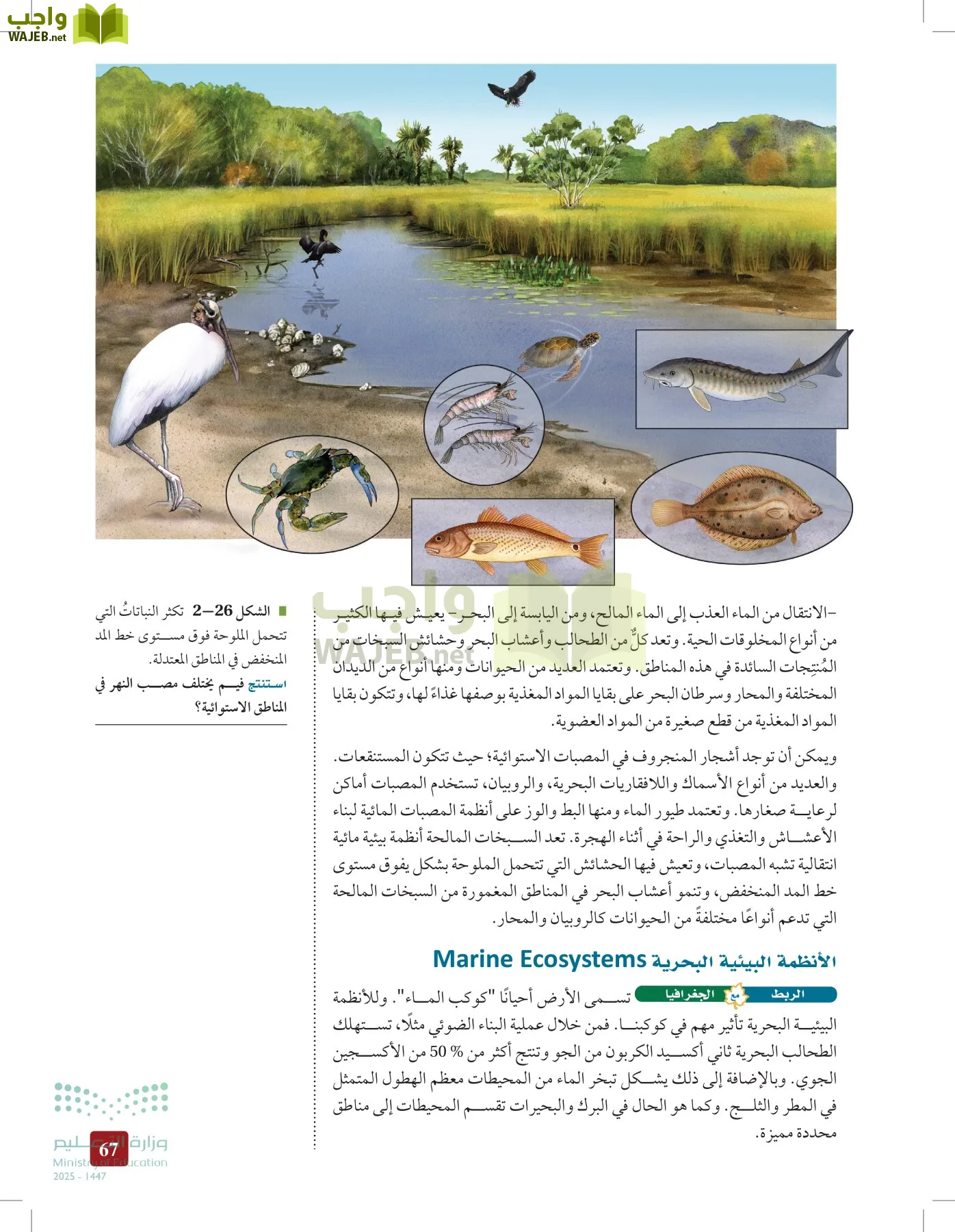 علم البيئة مقررات page-66