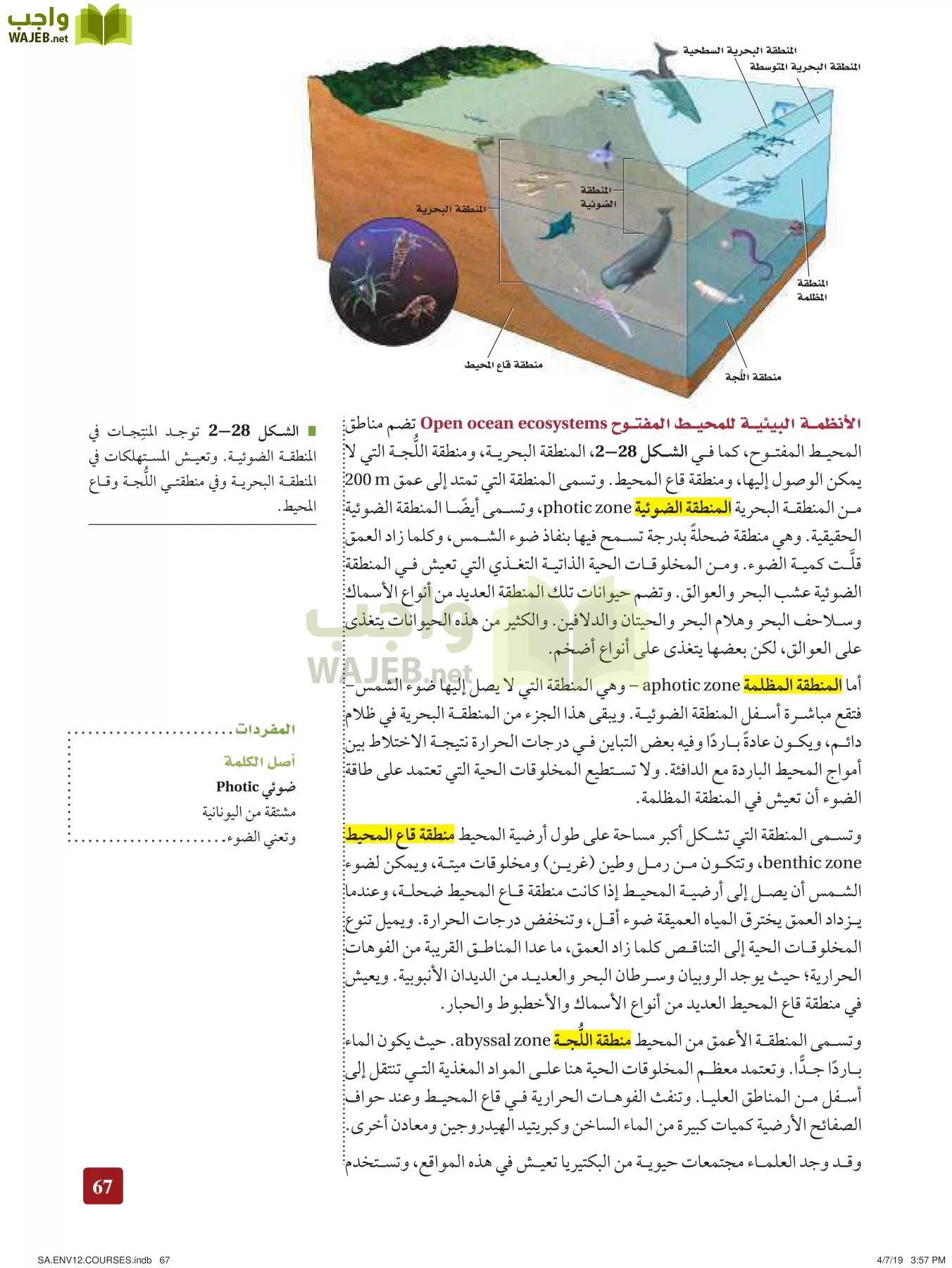 علم البيئة مقررات page-67