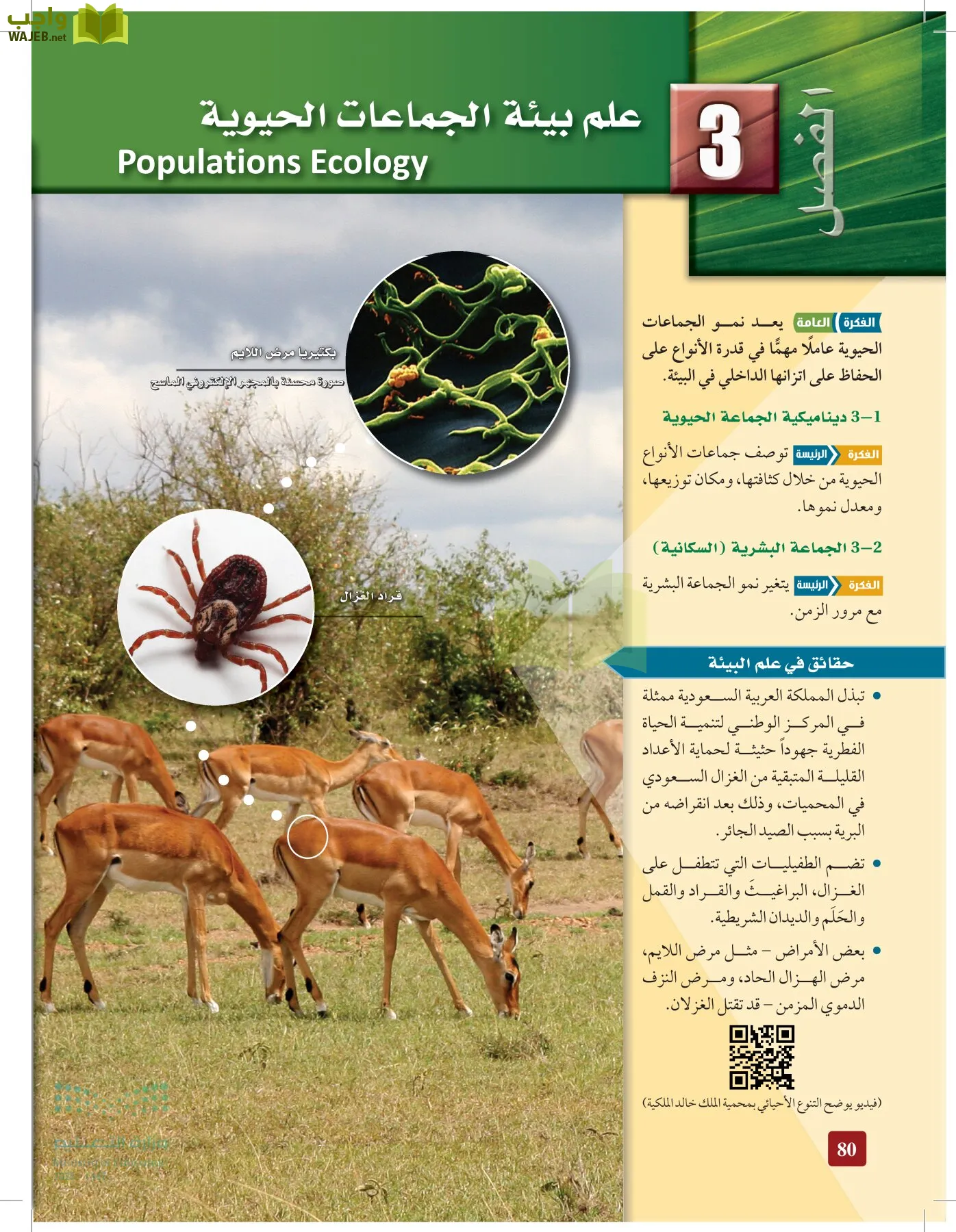 علم البيئة مقررات page-79
