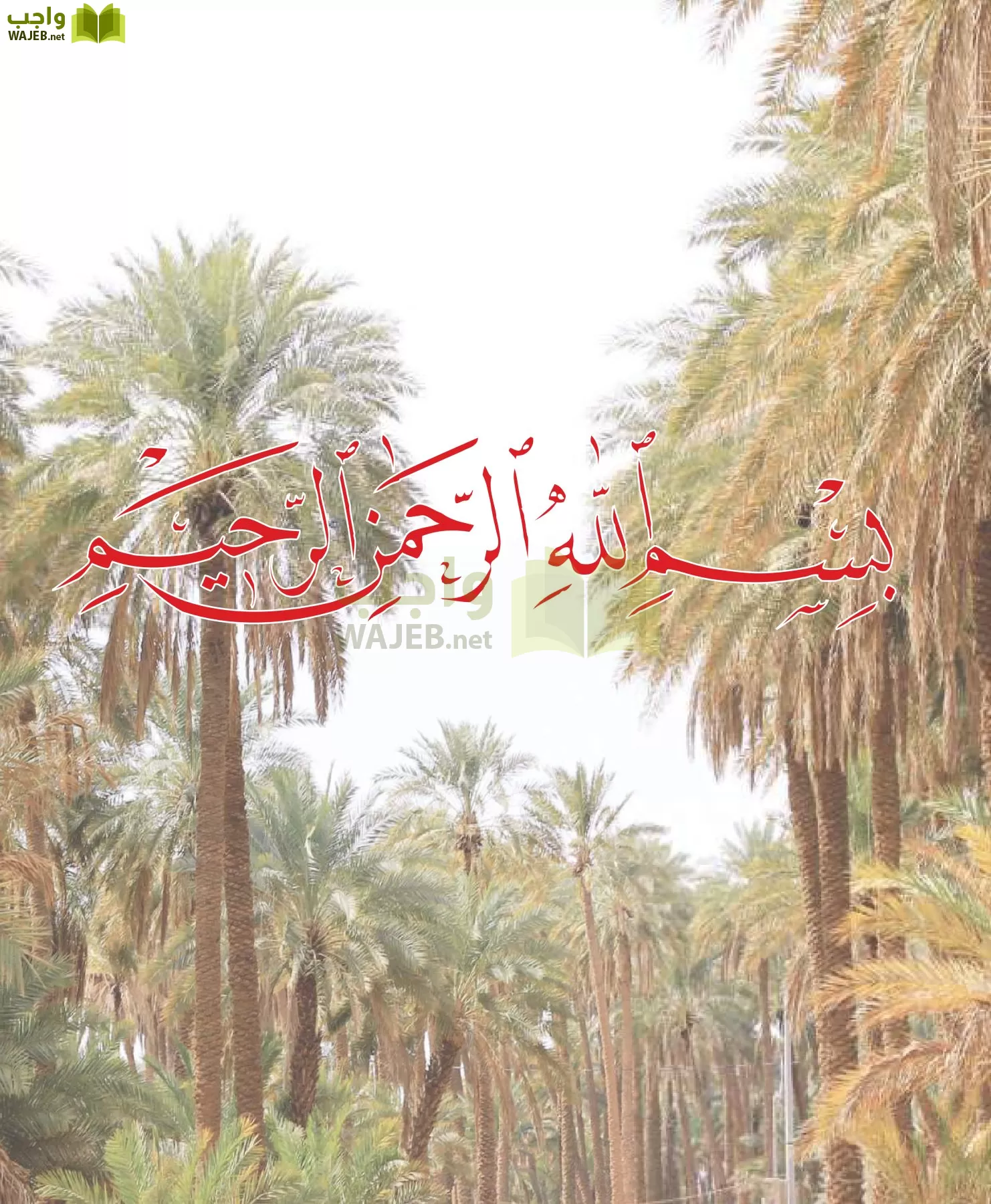 علوم القرآن 1 مقررات page-3