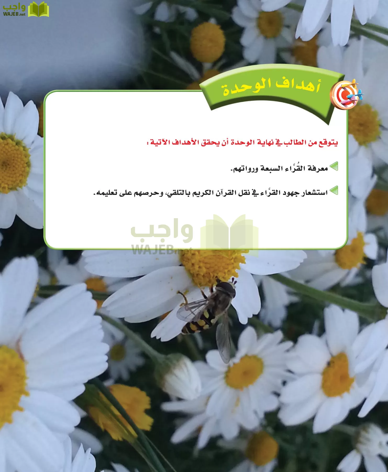 قراءات 1 مقررات page-91