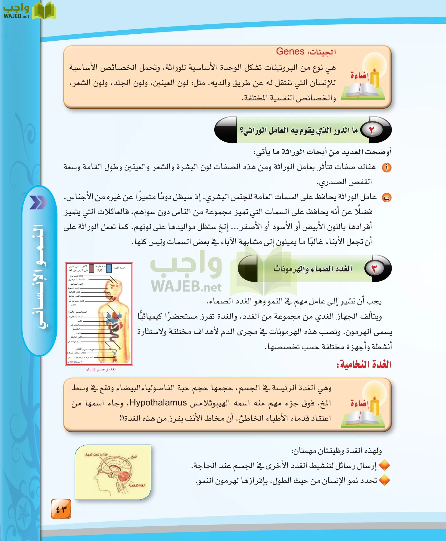 الدراسات النفسية والاجتماعية مقررات page-43