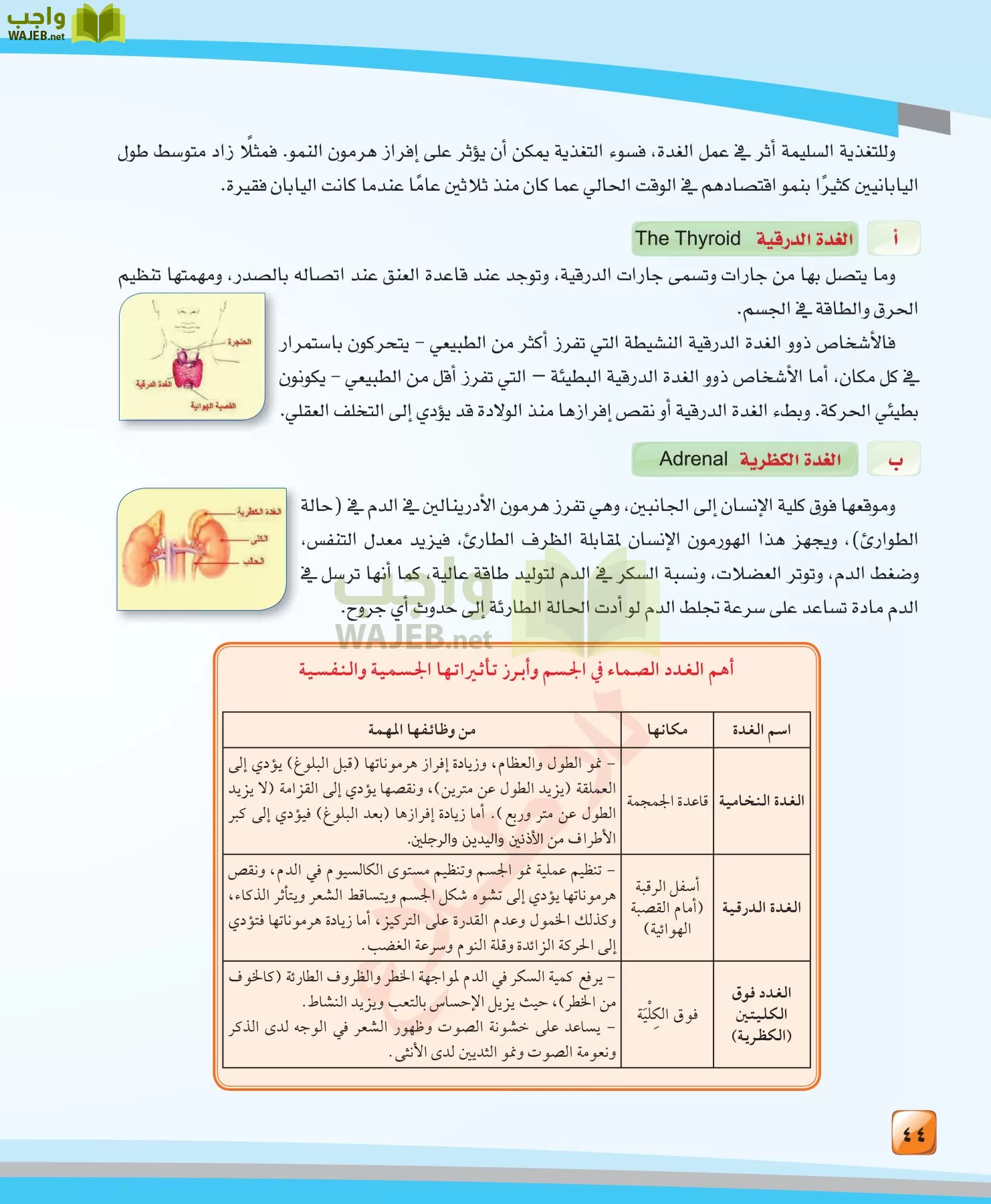 الدراسات النفسية والاجتماعية مقررات page-44